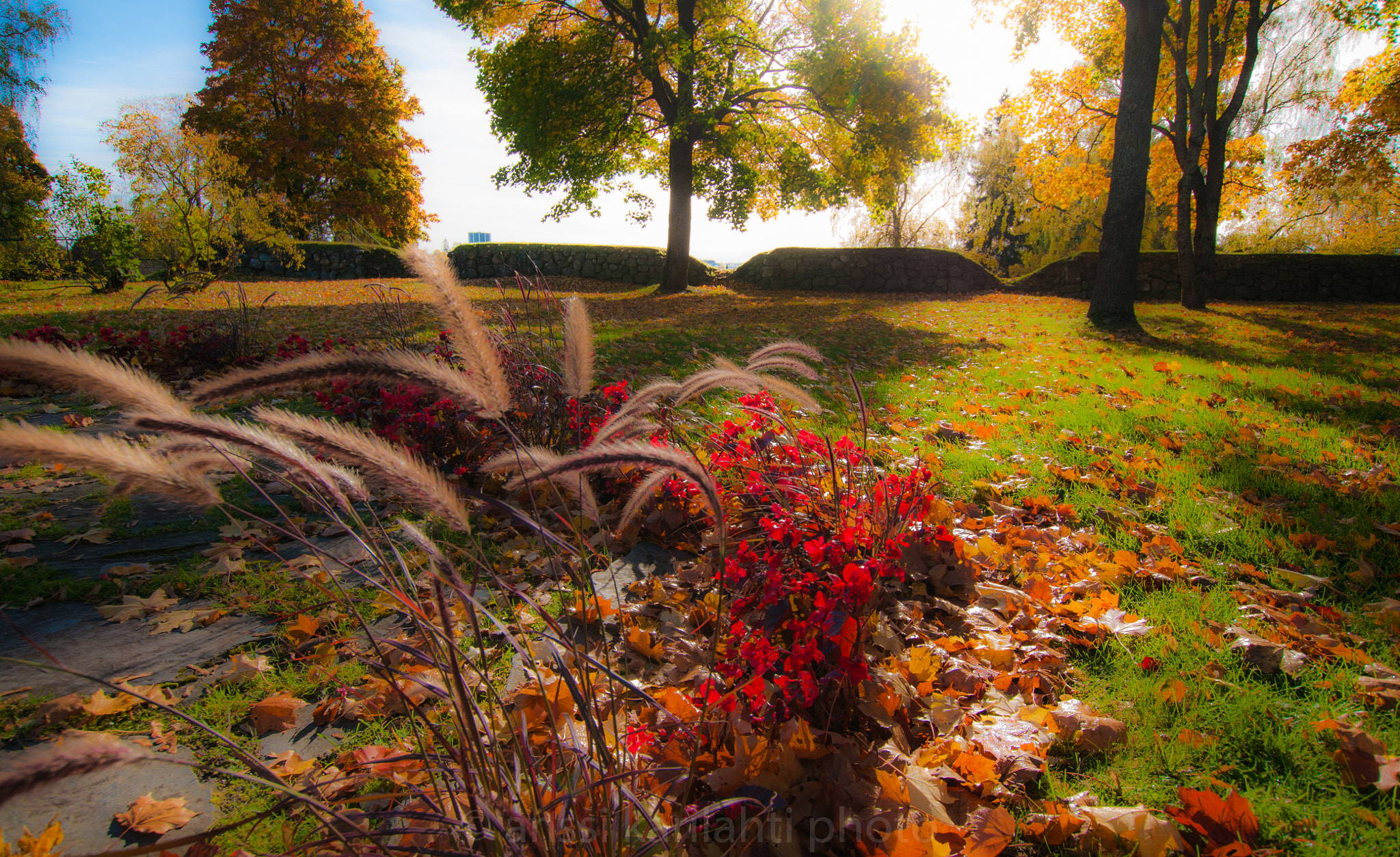 Nikon D300 + Sigma 10-20mm F3.5 EX DC HSM sample photo. Nice day in park photography