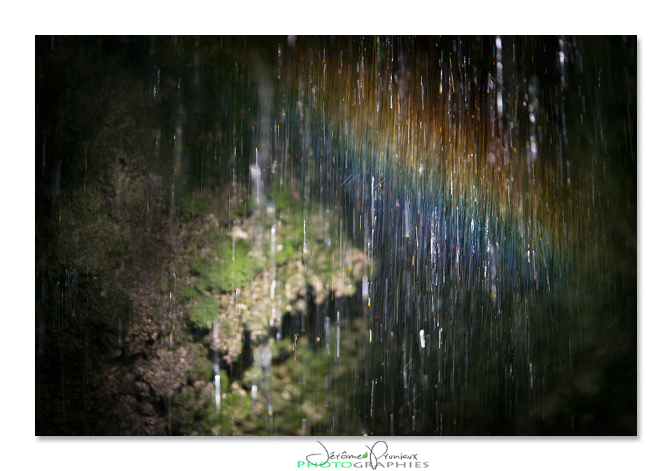 Nikon D800 + Sigma 150mm F2.8 EX DG Macro HSM sample photo. - water&light - photography