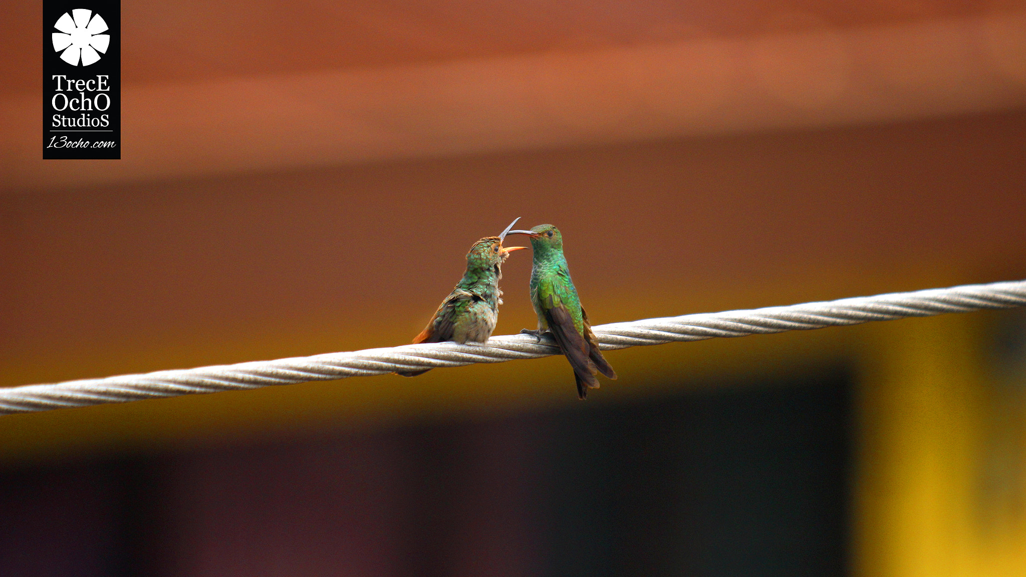 Canon EF 35-350mm F3.5-5.6L USM sample photo. Pareja photography