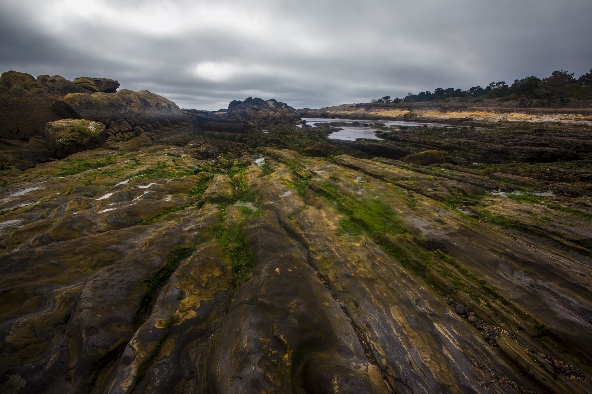 Nikon AF-S Nikkor 17-35mm F2.8D ED-IF sample photo. Pelican point photography