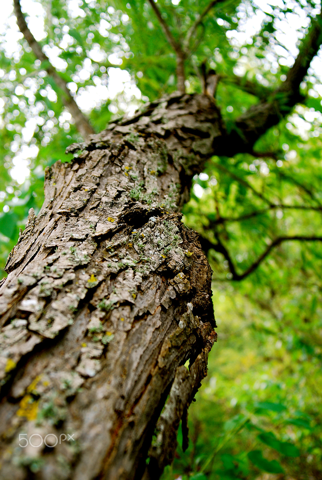AF Zoom-Nikkor 28-80mm f/3.3-5.6G sample photo. Perspective photography
