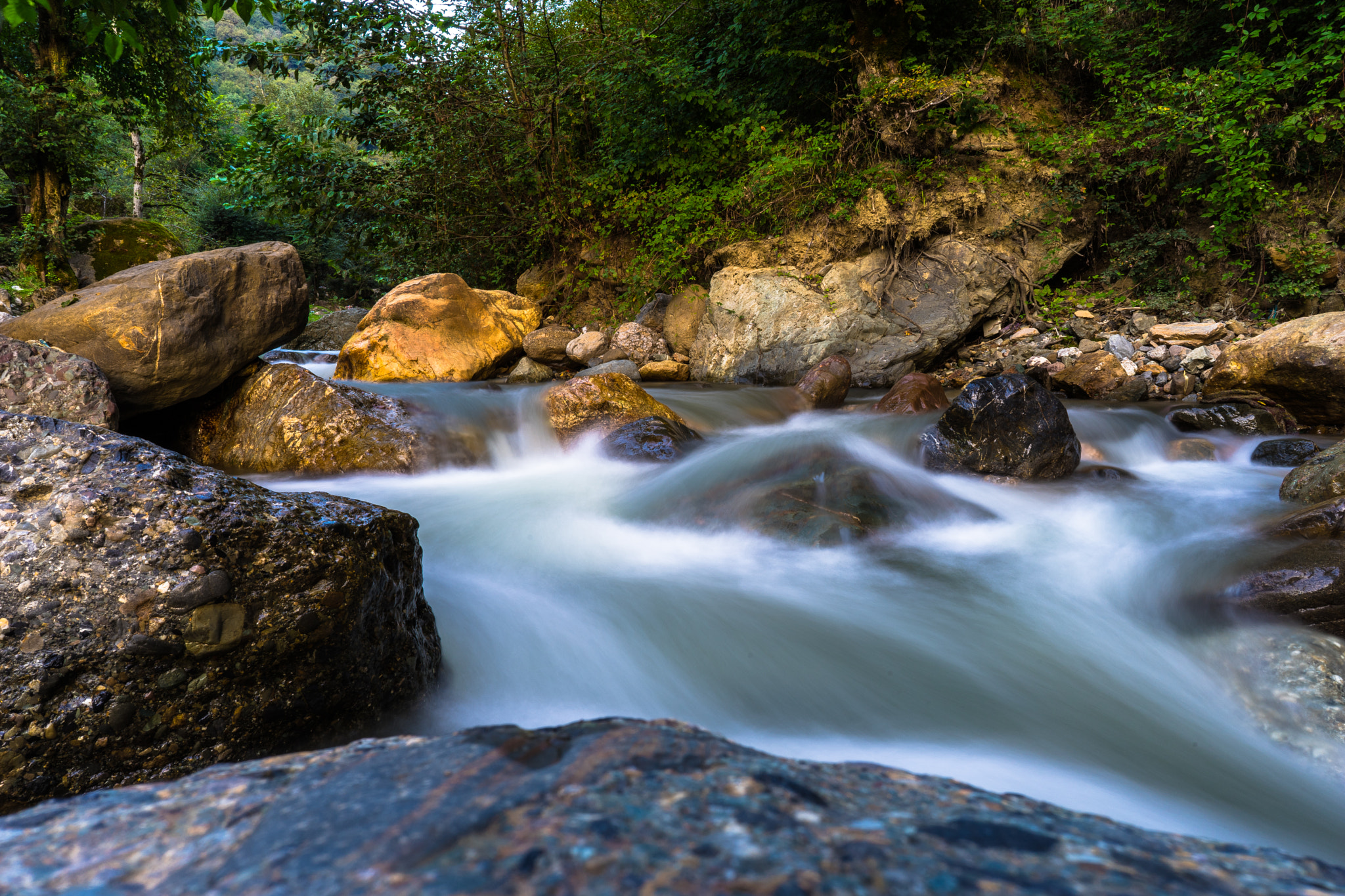 Sony a7 II + ZEISS Batis 25mm F2 sample photo. ..... photography