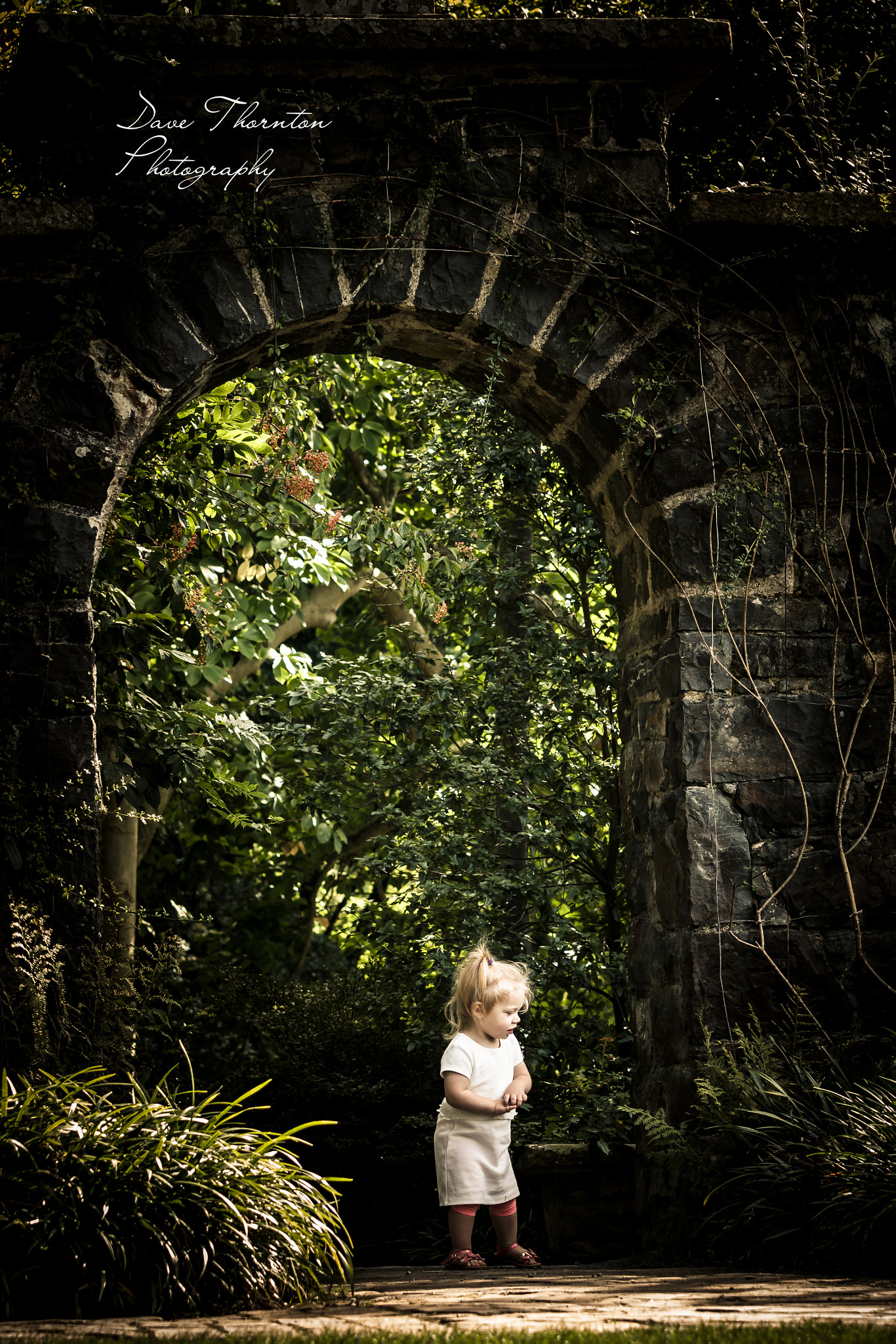 Sigma 70-200mm F2.8 EX DG OS HSM sample photo. Return from secret garden photography