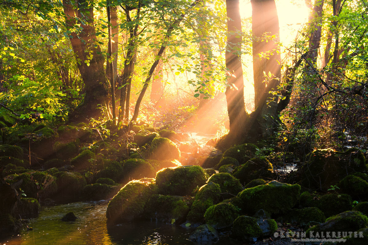 Sigma 17-70mm F2.8-4 DC Macro OS HSM | C sample photo. Fairytale misty evening photography