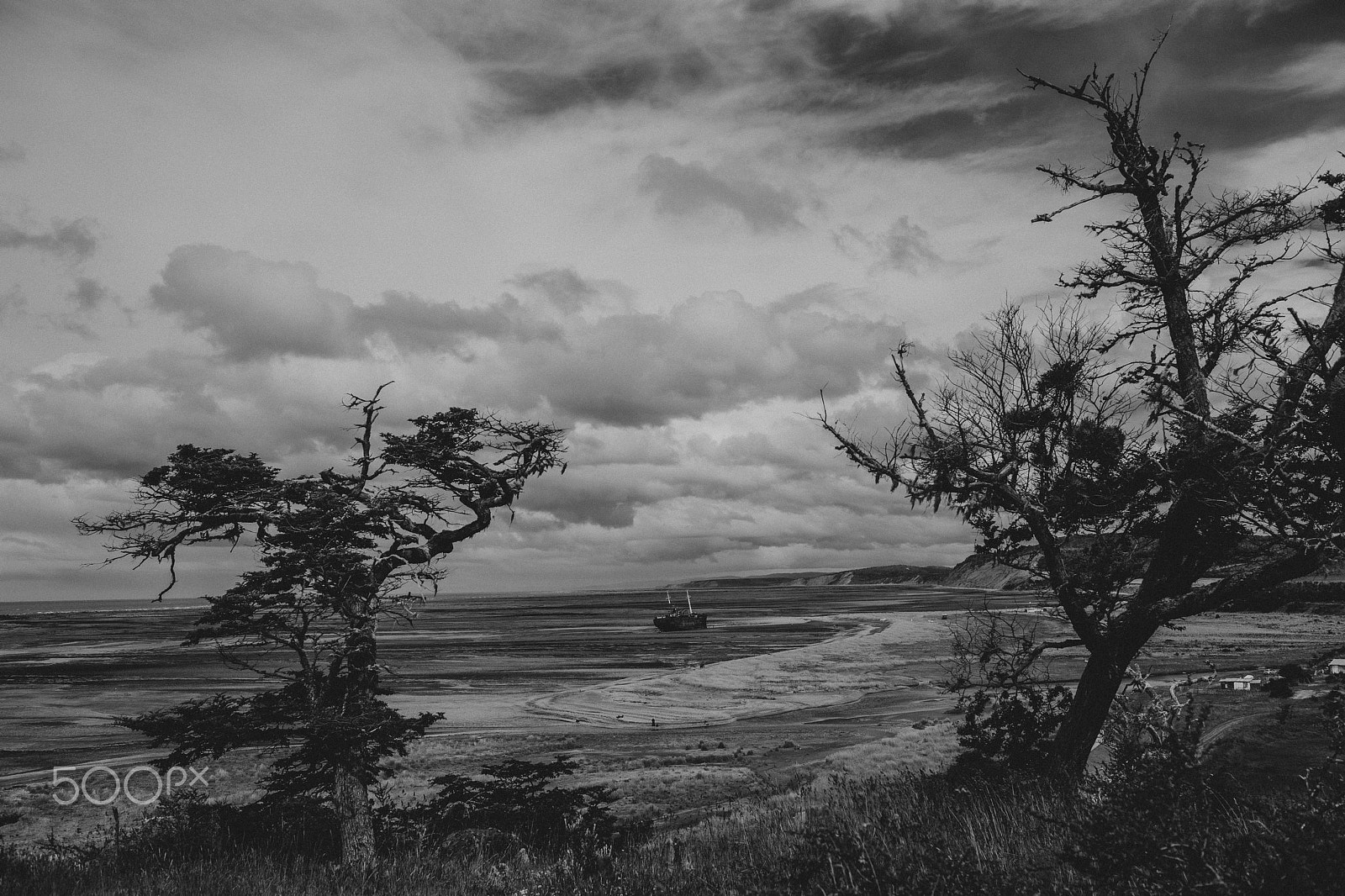 Canon EF 35mm F1.4L USM sample photo. Cape san pablo. tierra del fuego, argentina. photography