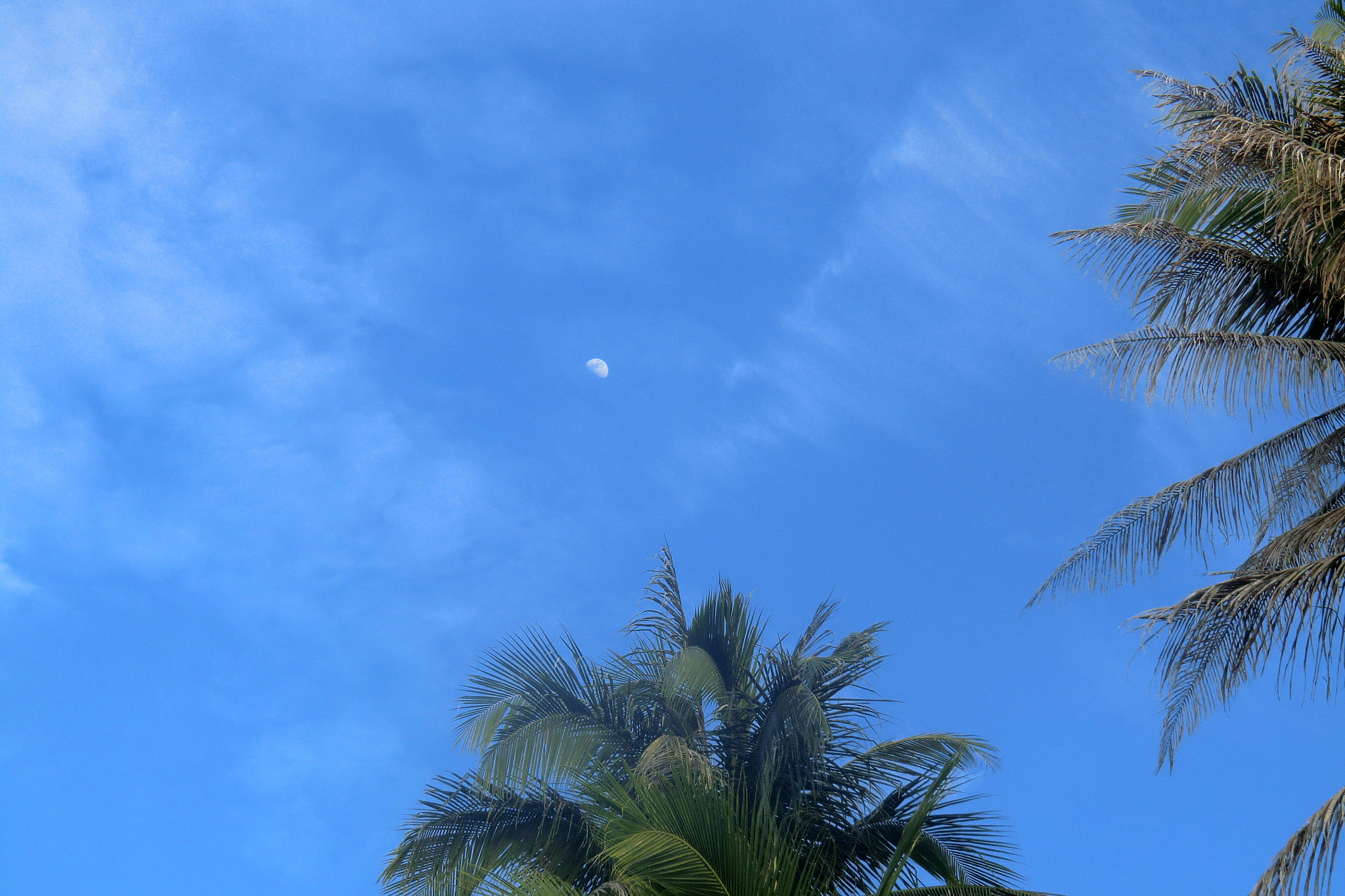 CASIO EX-H15 sample photo. Moon photography