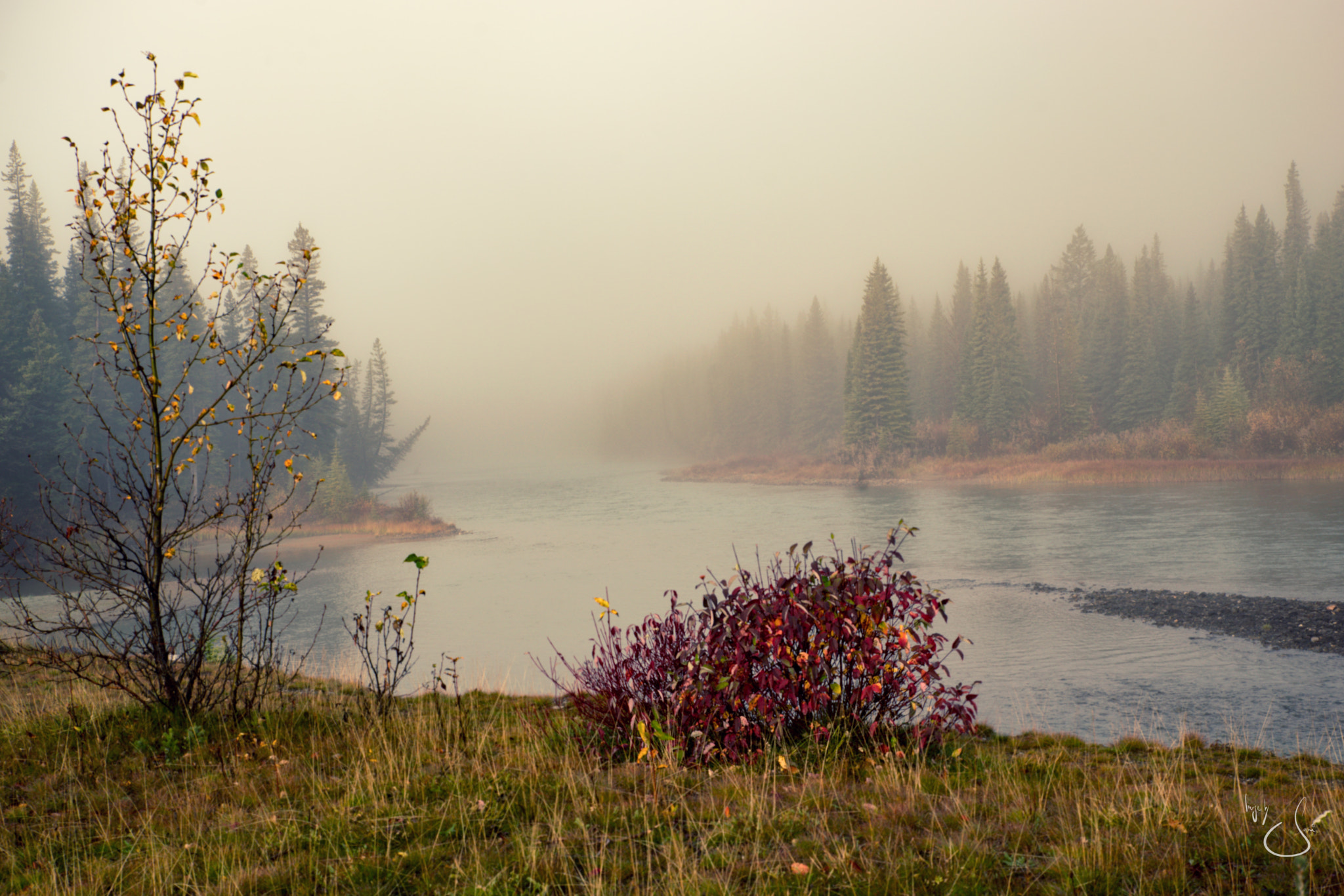 Sony a7 II sample photo. Misty morning photography