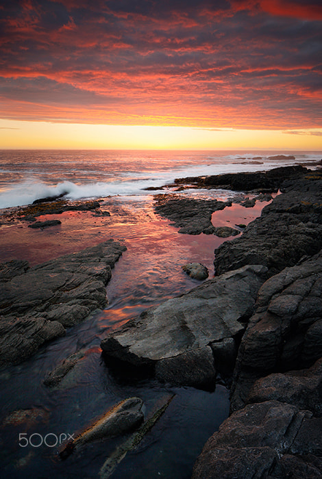 Canon EOS-1D X sample photo. Sunset over rocky coastline (hermanus in south afr photography
