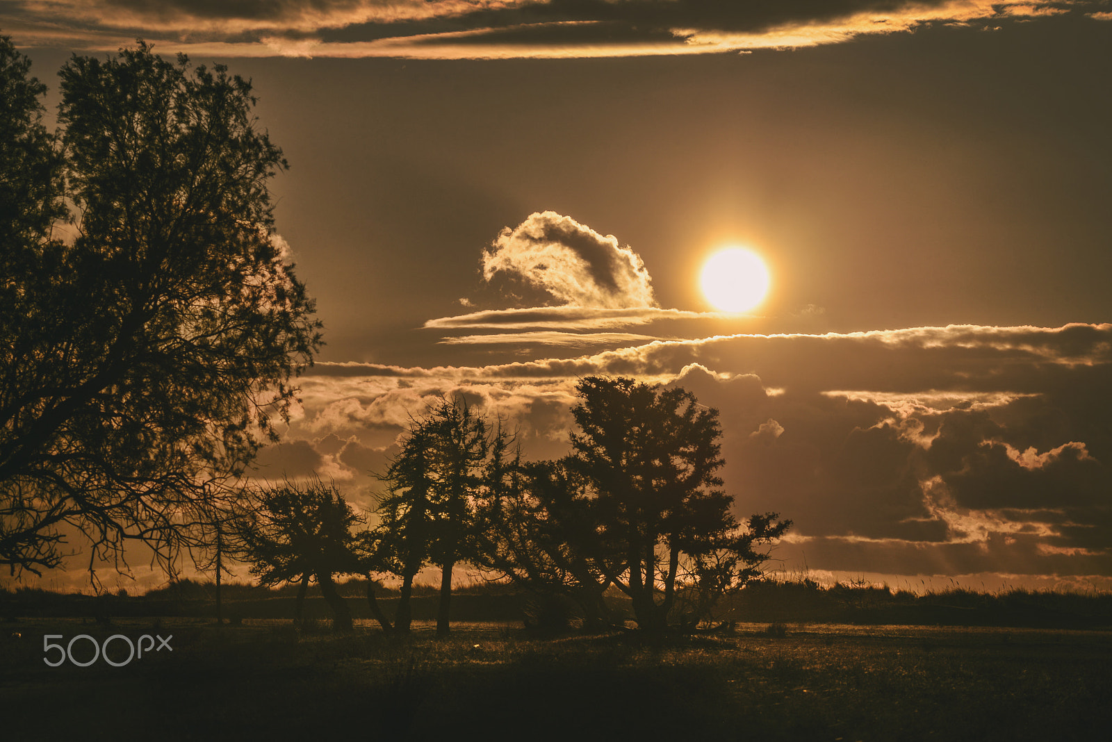 Nikon D600 sample photo. Alikes photography