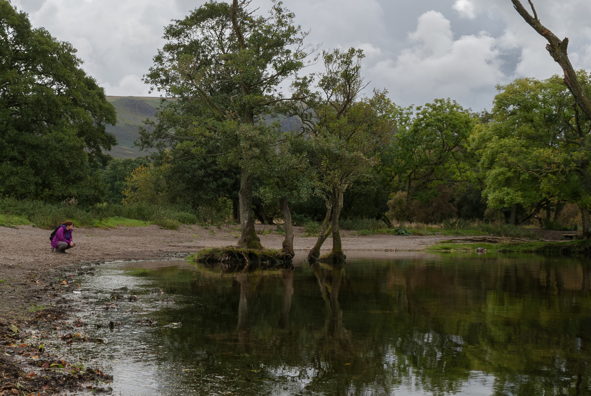 Sony Alpha DSLR-A230 + Minolta AF 28-100mm F3.5-5.6 (D) sample photo. Enjoying the nature photography