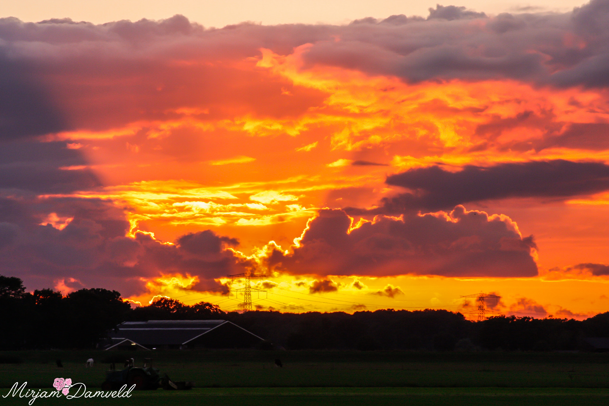 Canon EF 75-300mm f/4-5.6 USM sample photo. Img photography