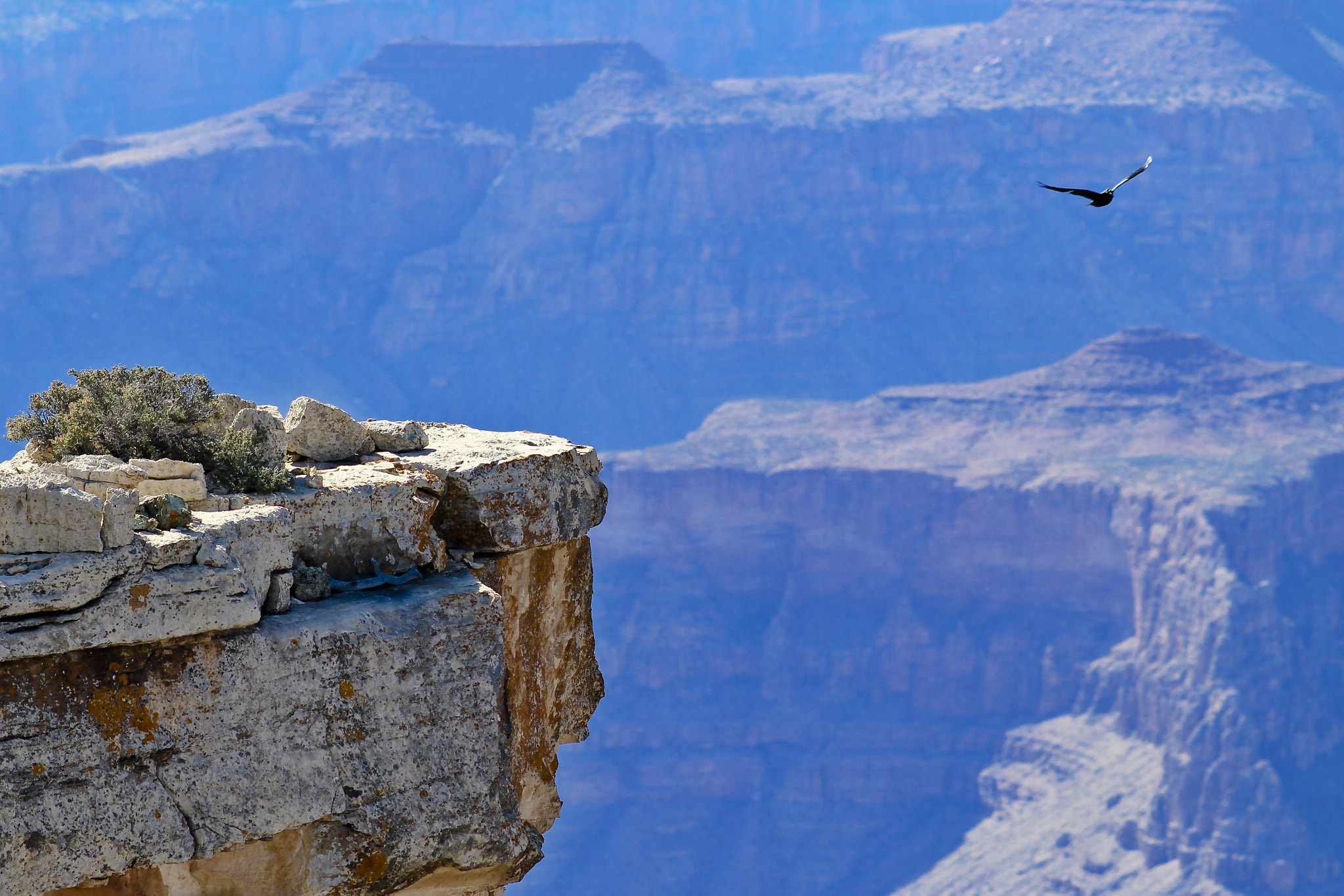 Canon EF 200mm f/2.8L sample photo. Grand canyon photography