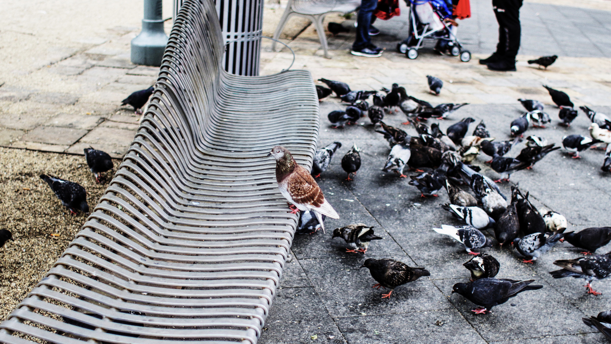 Canon EF 28mm F1.8 USM sample photo
