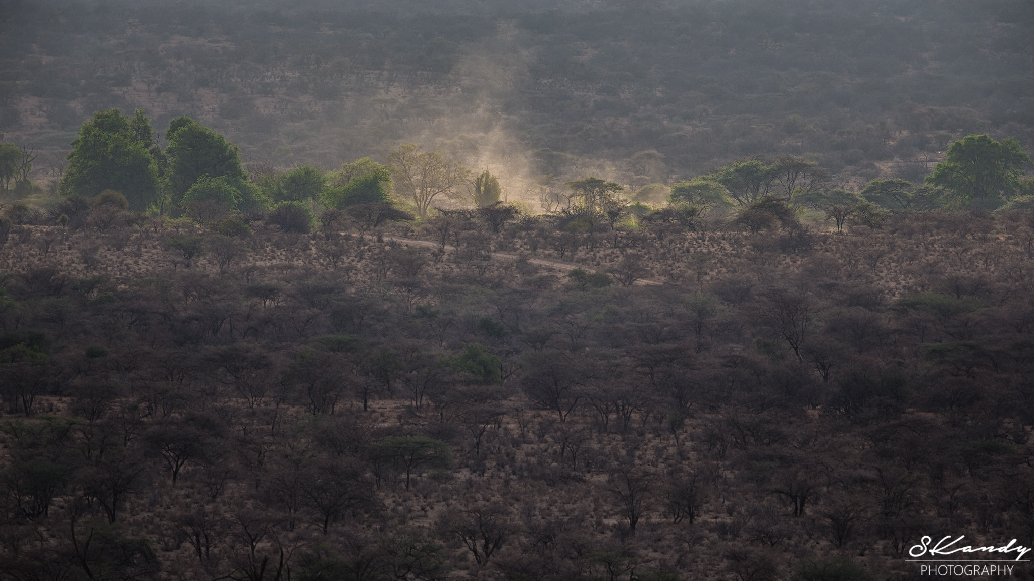 Canon EF 500mm F4L IS II USM sample photo. Light of hope photography