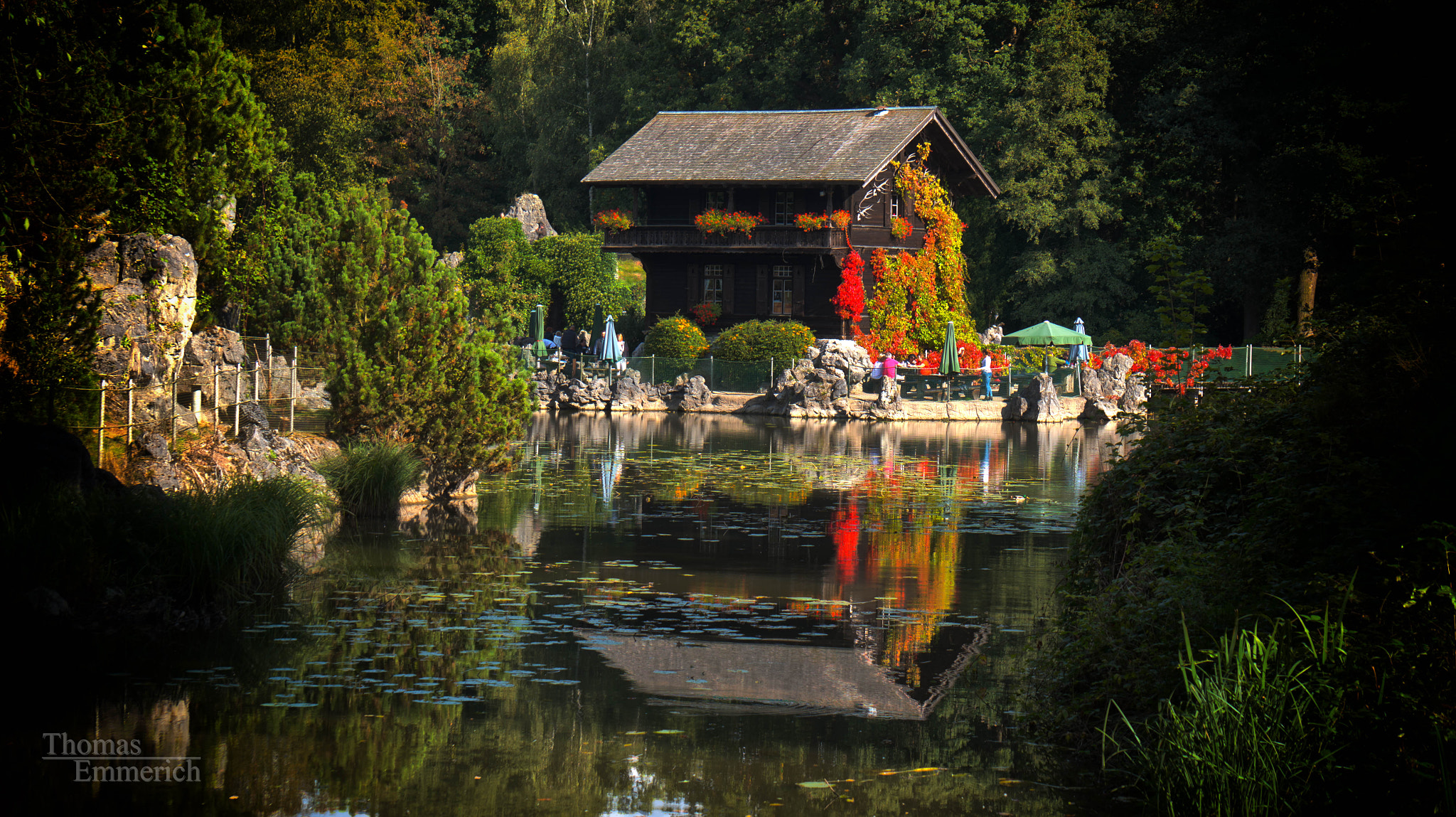 Sony Alpha NEX-6 sample photo. Holsteiner schweiz photography