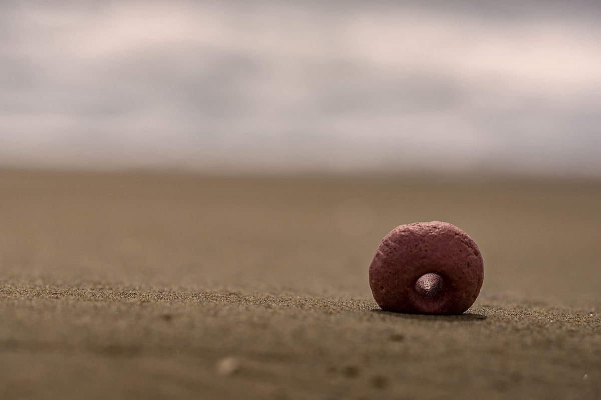 Sigma 150mm F2.8 EX DG OS Macro HSM sample photo. Floating on the sand photography