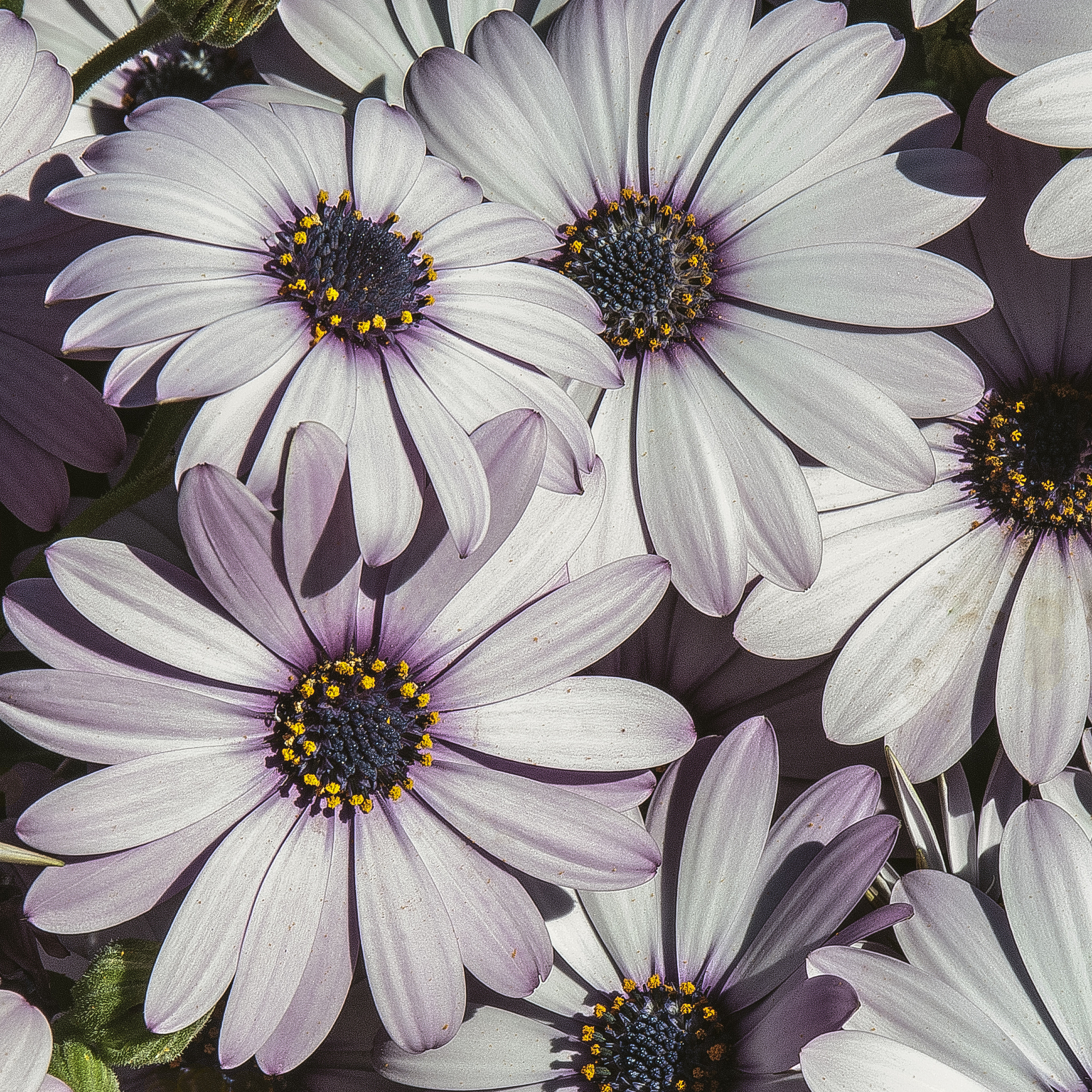 Nikon D80 sample photo. 14-02-26_12.jpg photography