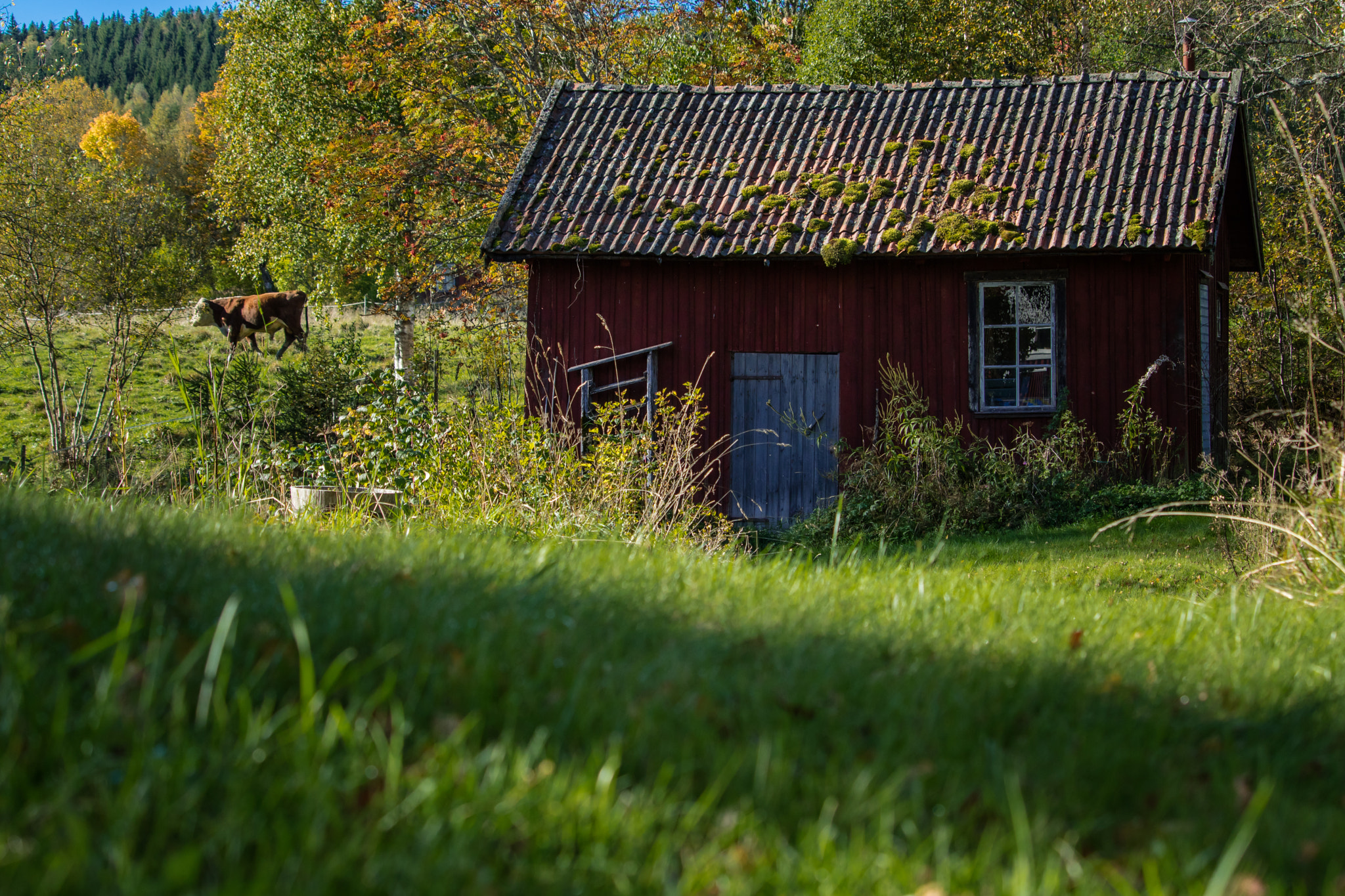 Canon EOS M3 sample photo. Red cottage photography