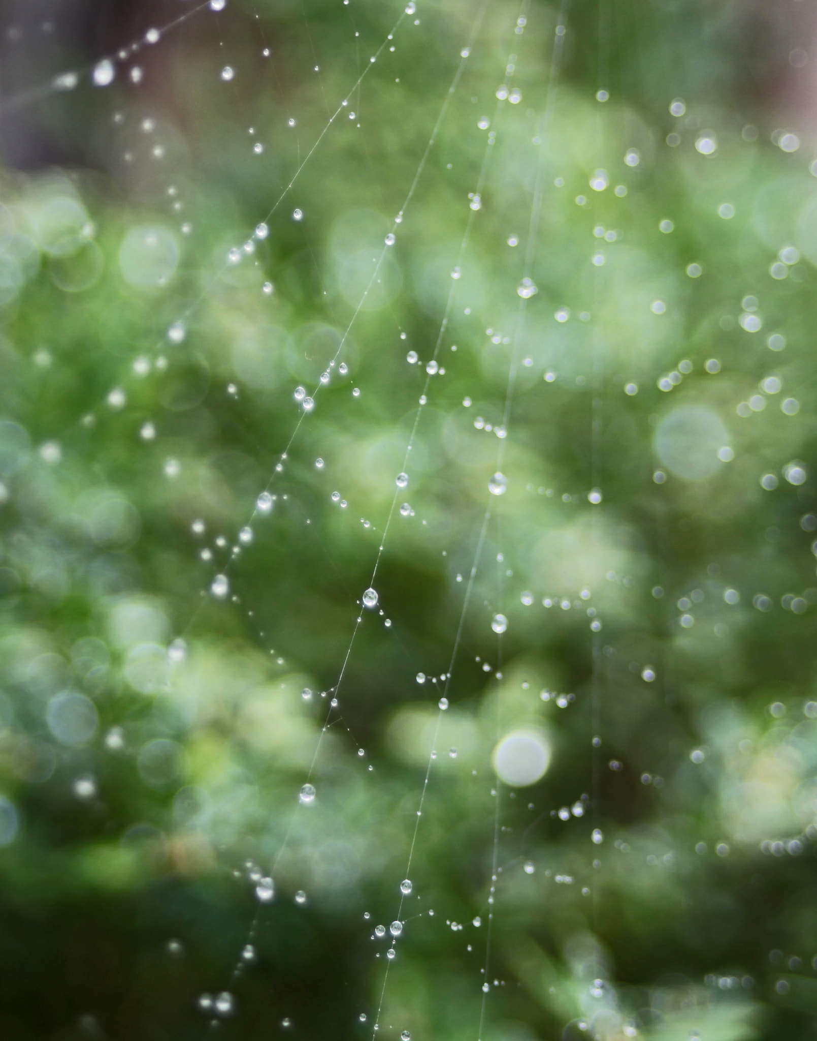 Canon EF 28-80mm f/3.5-5.6 USM IV sample photo. Water pearls photography