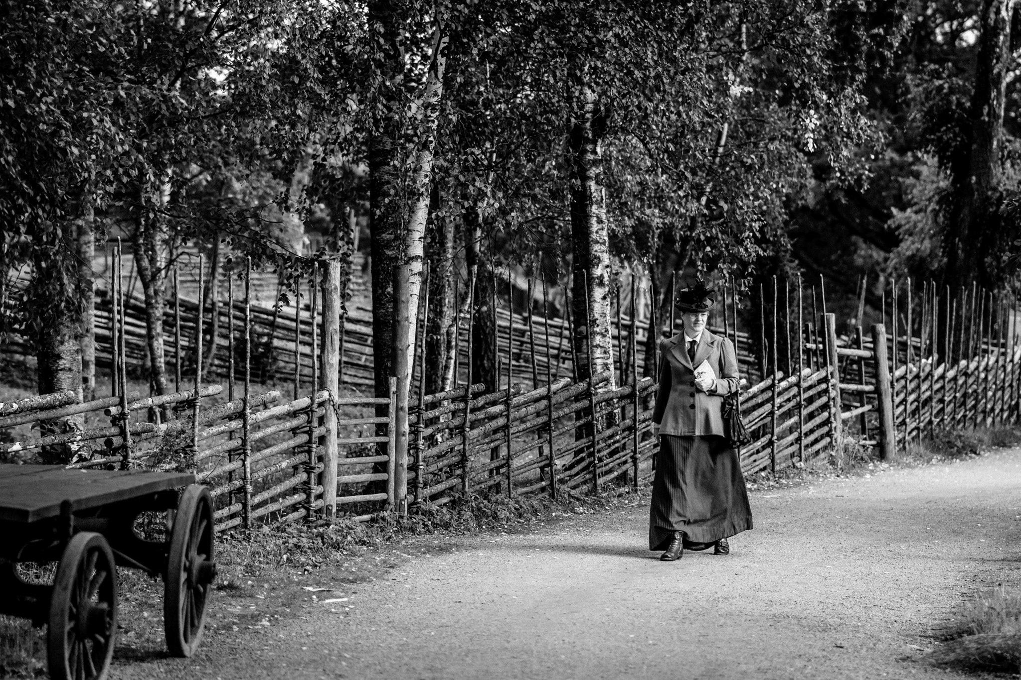 ZEISS Batis 85mm F1.8 sample photo. Swedish heritage in skansen photography