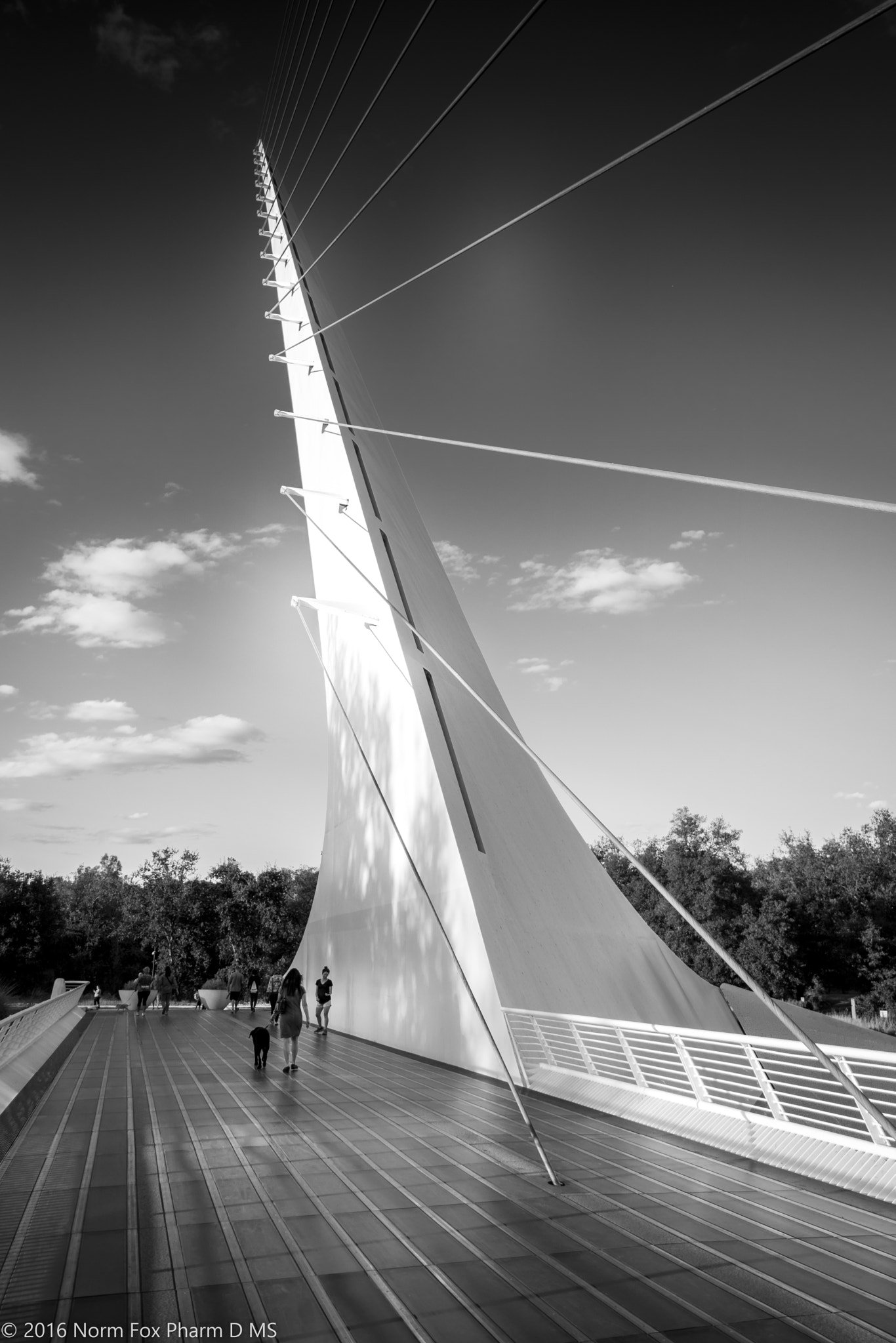 Canon EOS 760D (EOS Rebel T6s / EOS 8000D) sample photo. Sundial bridge photography