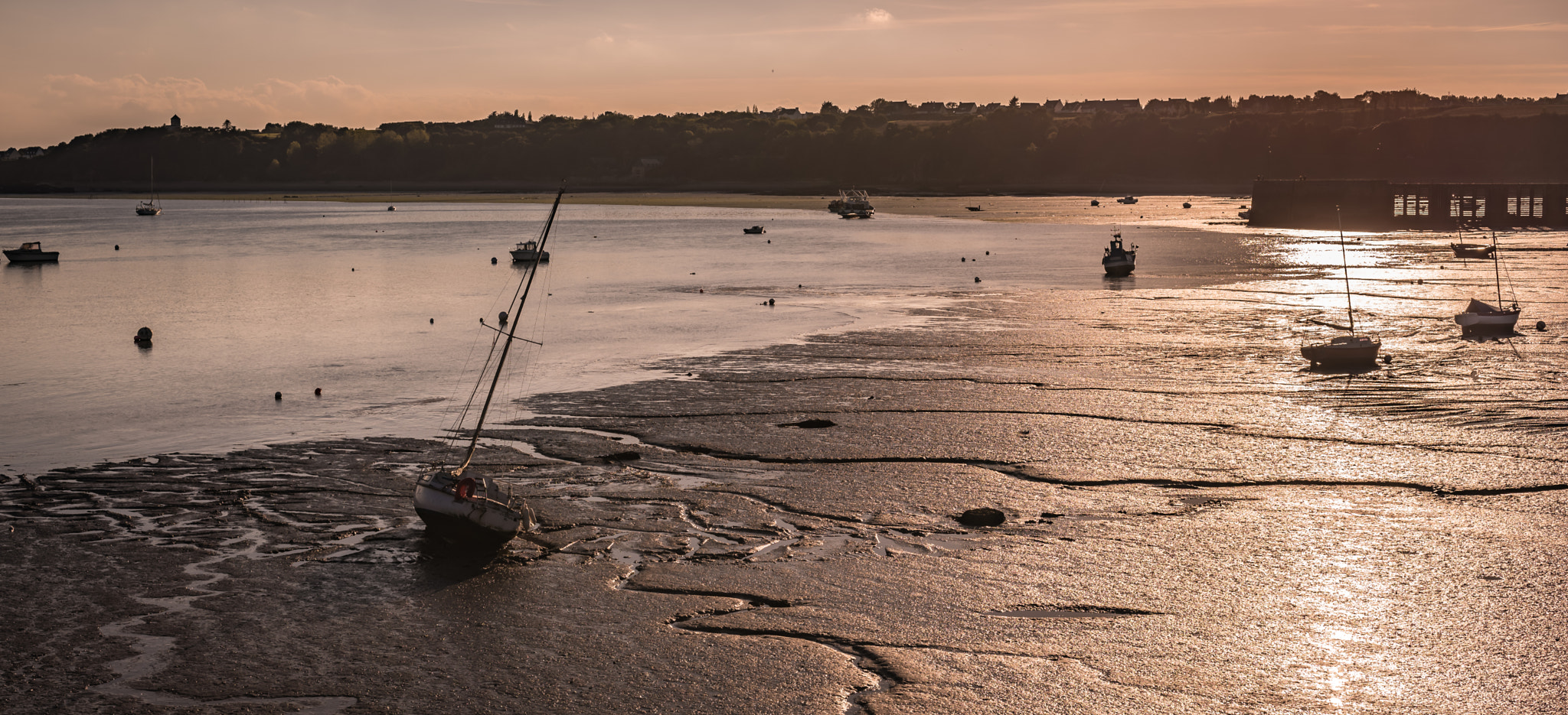 Nikon D750 + Sigma 50mm F2.8 EX DG Macro sample photo. Marée basse à cancale photography