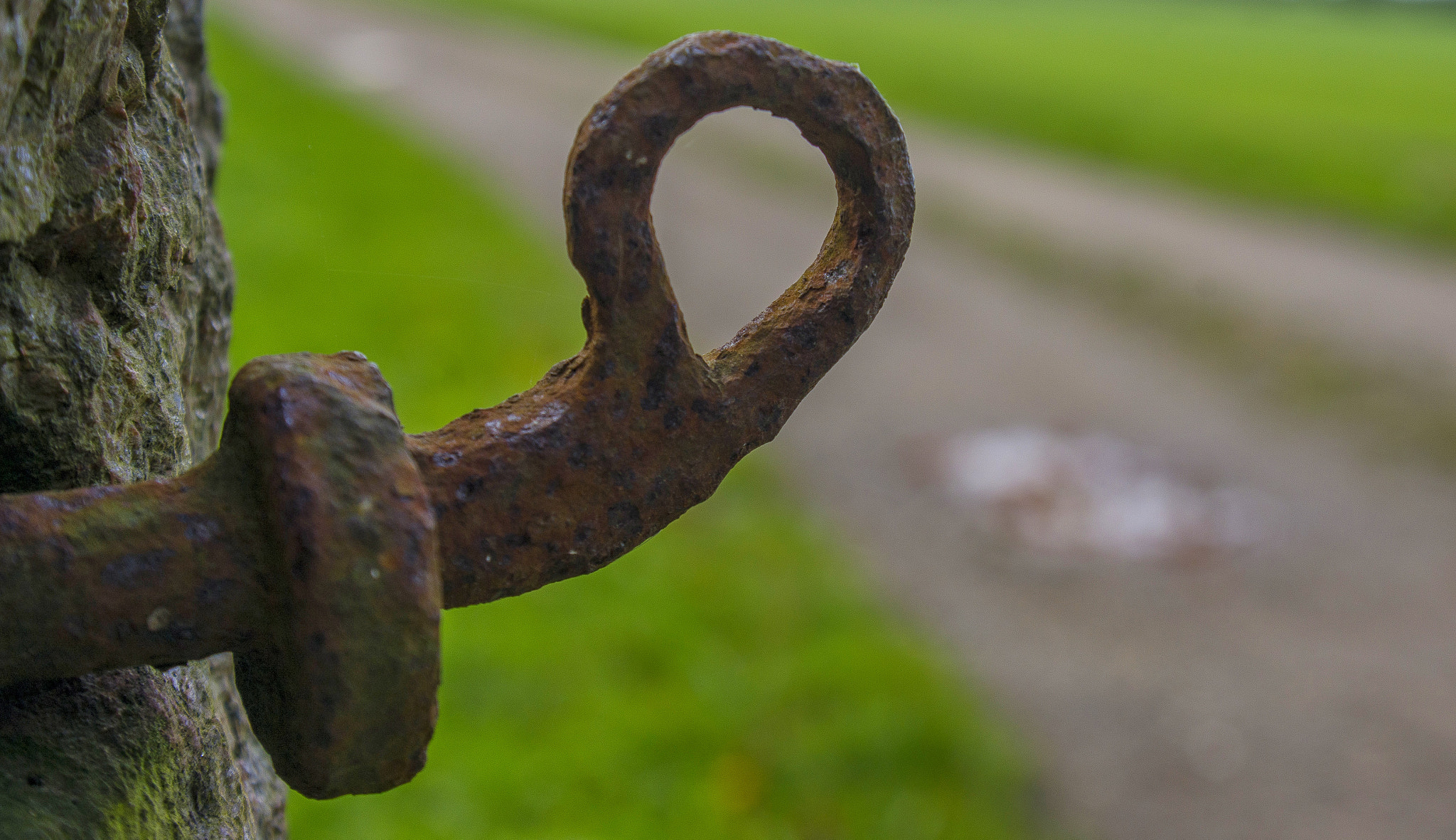 Pentax K-5 sample photo. Rusty...  photography