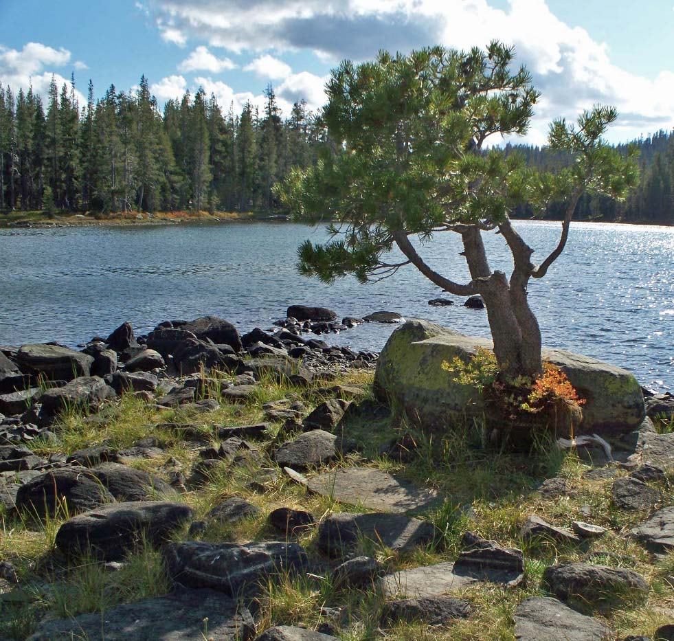 Kodak Z1275 ZOOM DIGITAL CAMERA sample photo. High country lake photography