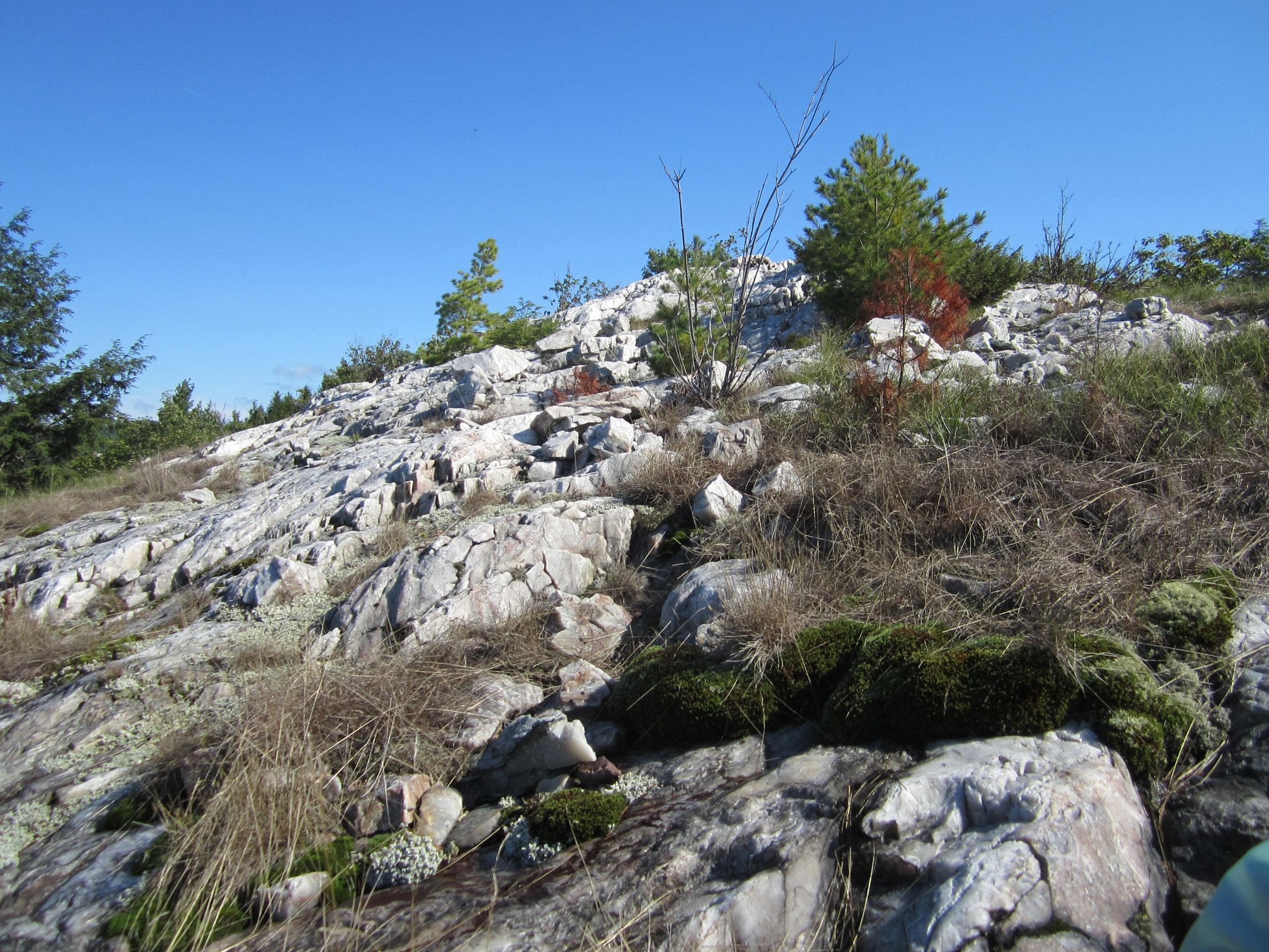 Canon PowerShot ELPH 100 HS (IXUS 115 HS / IXY 210F) sample photo. Img photography