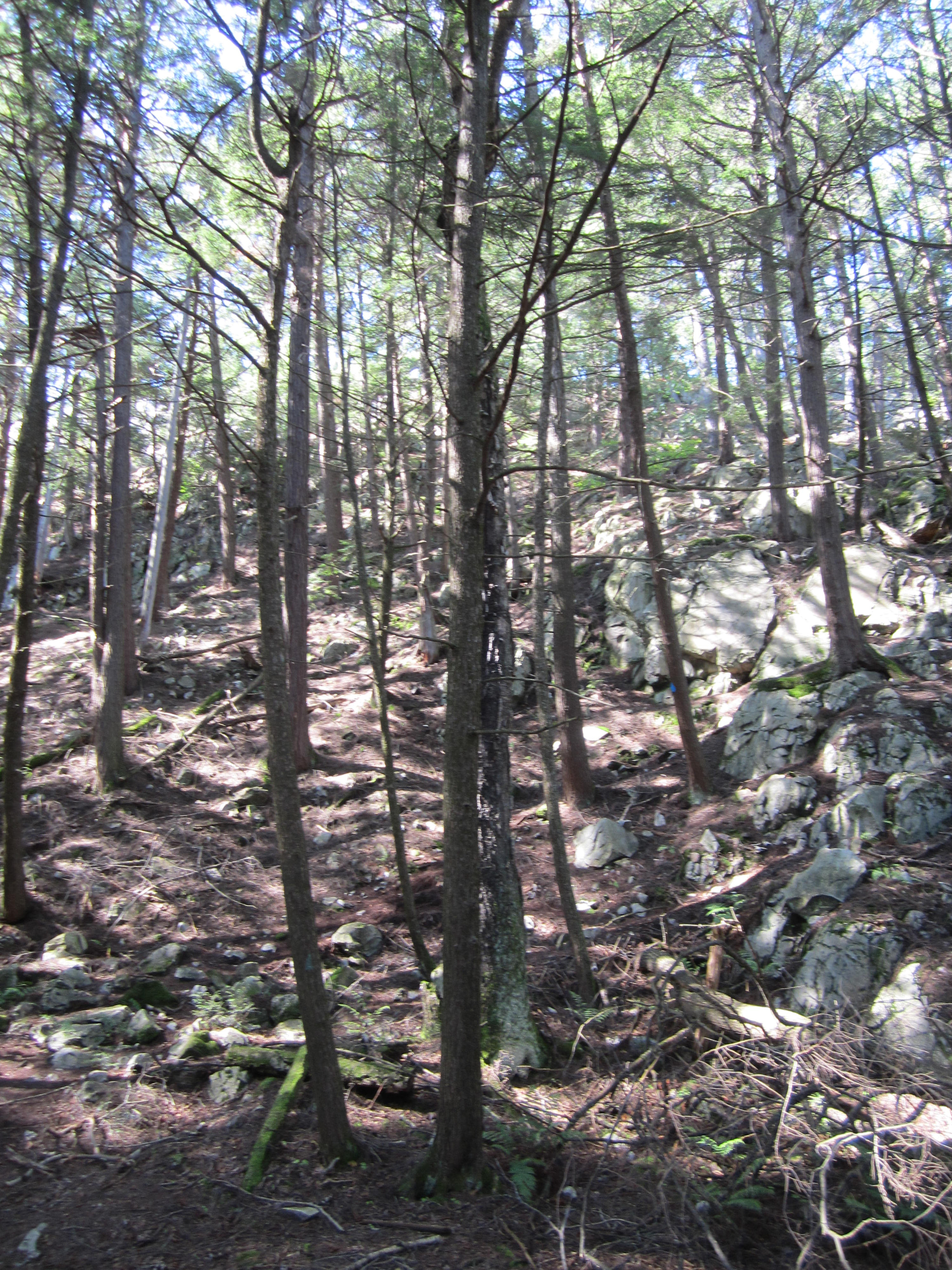 Canon PowerShot ELPH 100 HS (IXUS 115 HS / IXY 210F) sample photo. Img photography