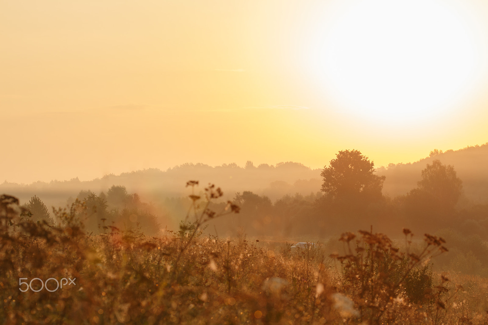 Canon EF 100mm F2.8 Macro USM sample photo. Sunrise photography