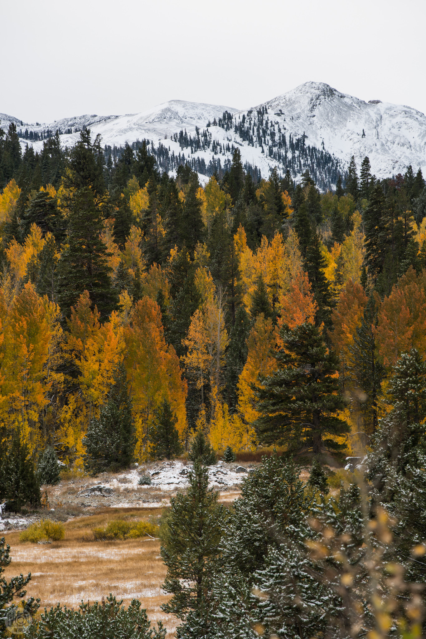 Canon EF 70-200mm F2.8L IS II USM sample photo. Hwy 88 first snow photography