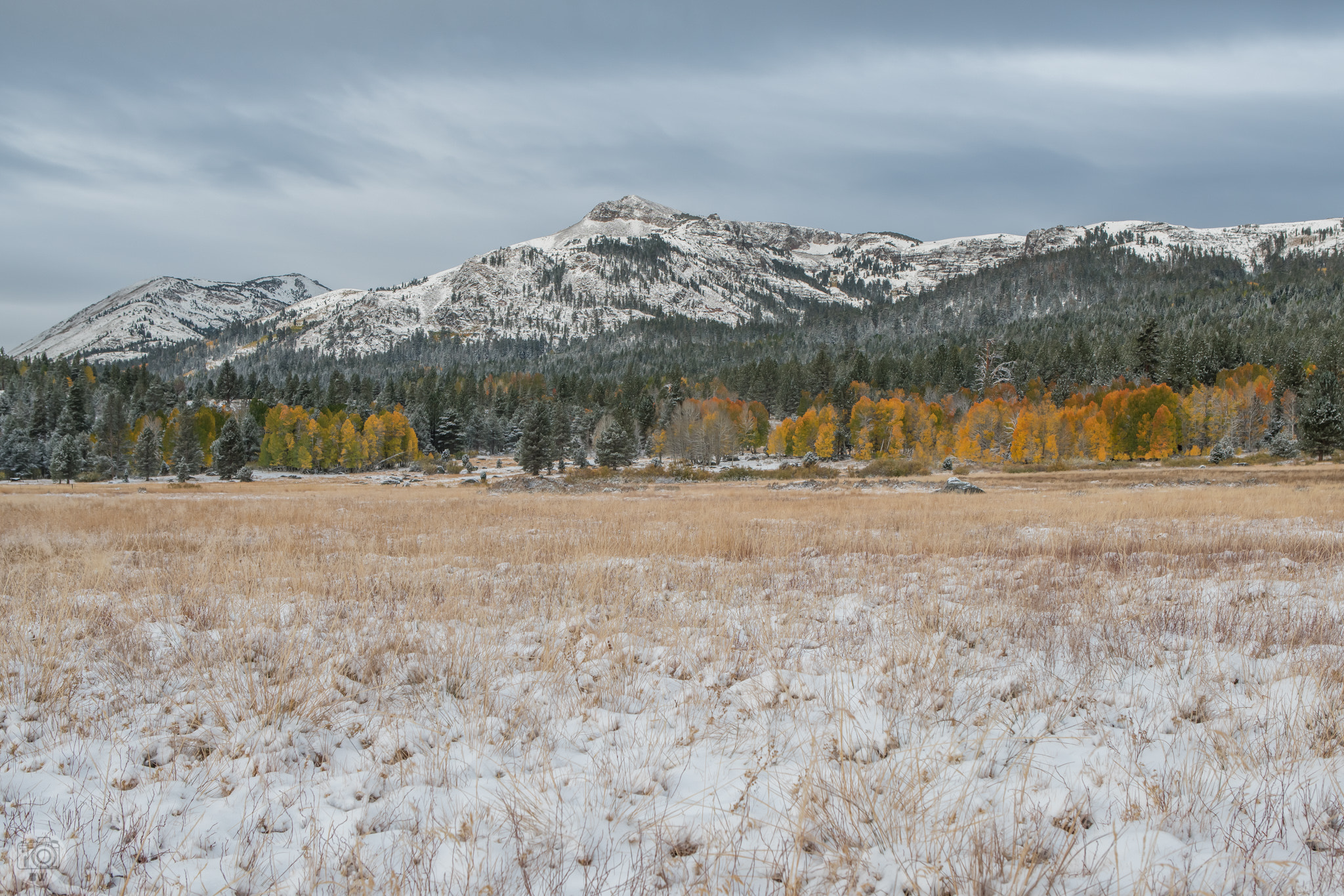 Sony a7R II + Canon EF 24-70mm F2.8L USM sample photo. Steven's peak snowfall photography