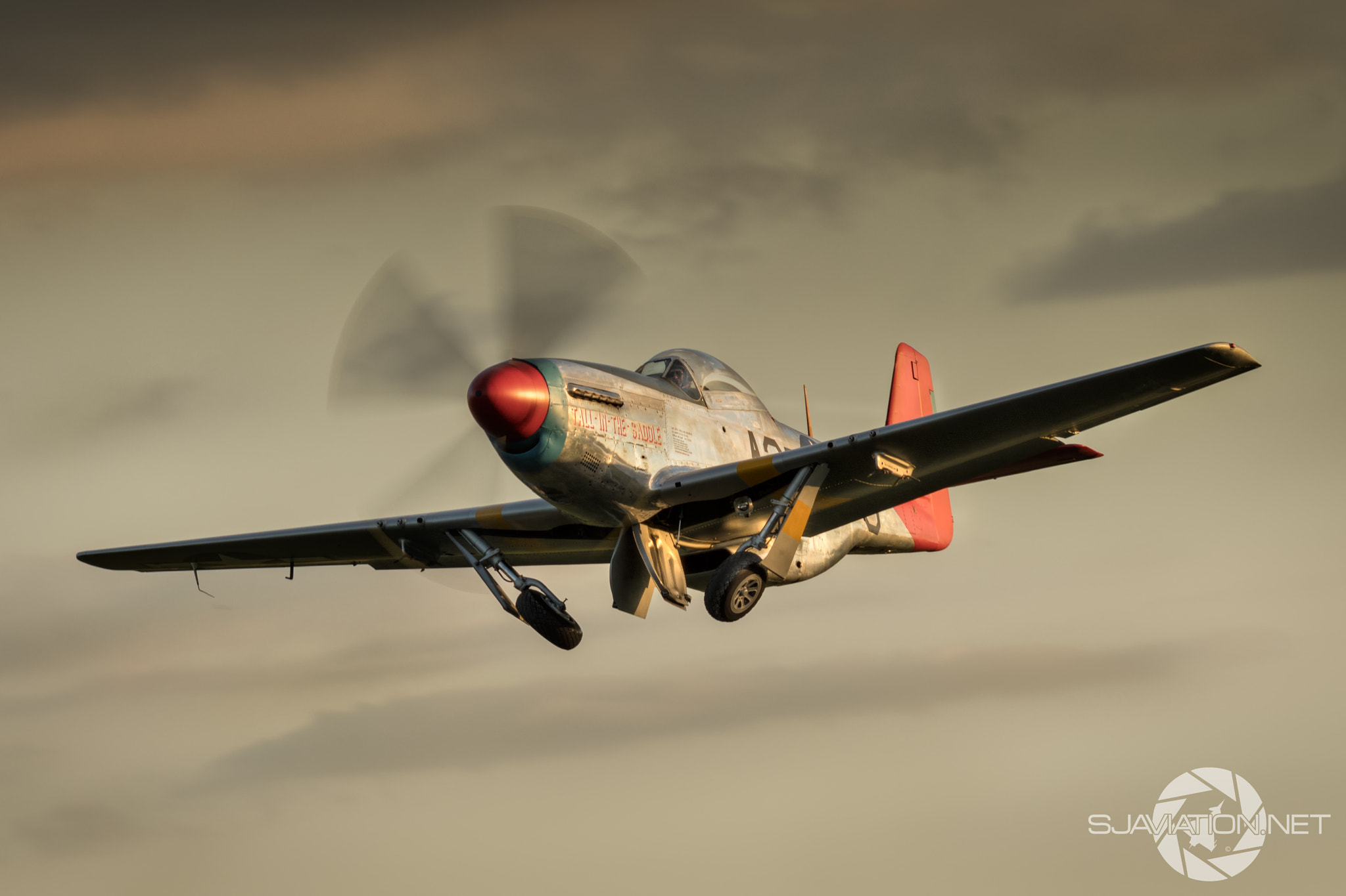 Nikon AF-S Nikkor 300mm F2.8G ED-IF VR sample photo. " last of the evening sun" photography