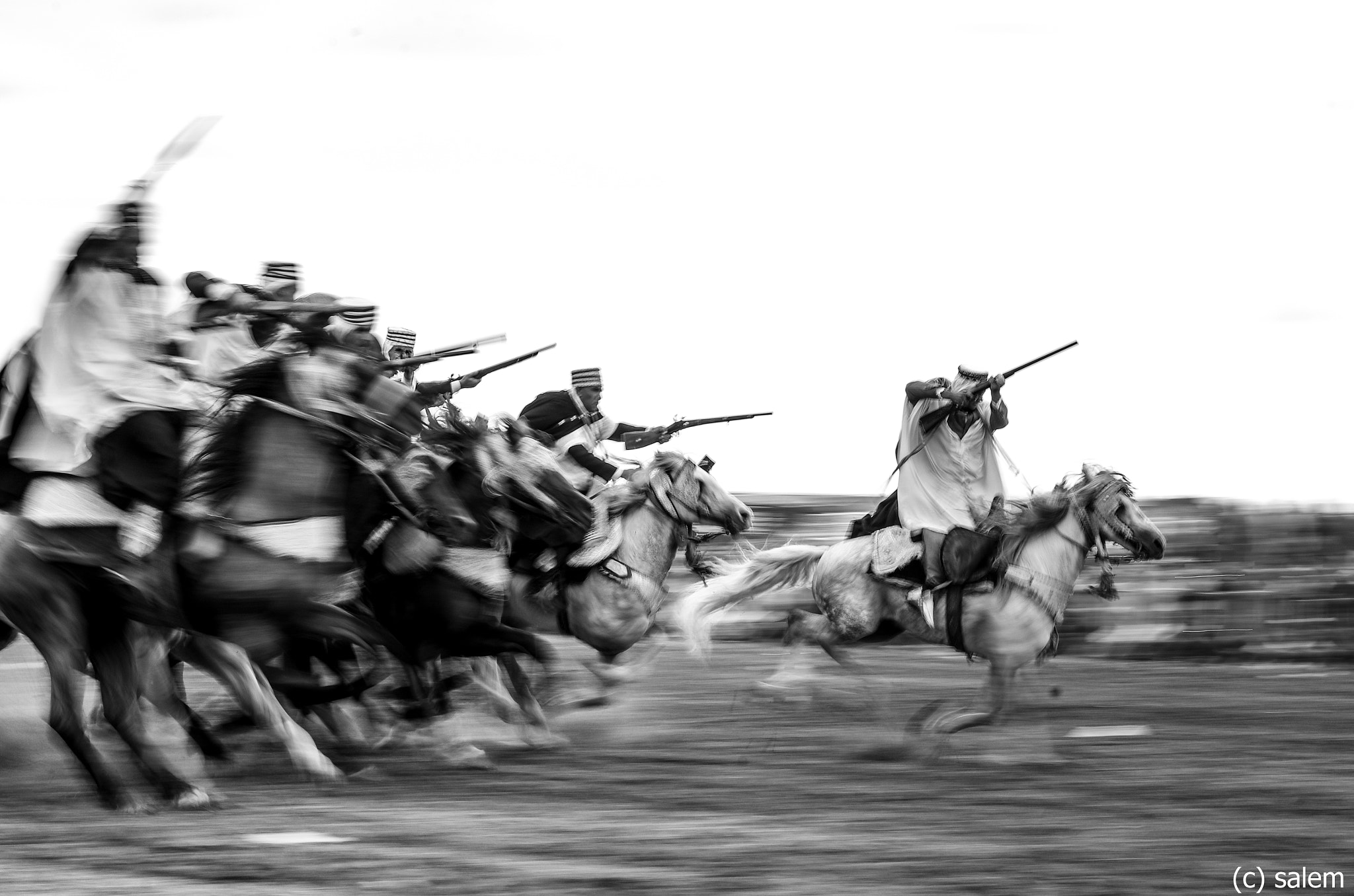 Pentax smc DA 50-200mm F4-5.6 ED WR sample photo. Algerian knight photography