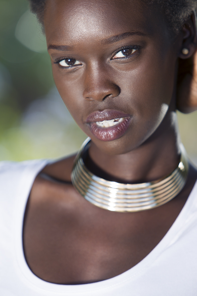 Canon EOS-1D Mark IV sample photo. As smart object photography