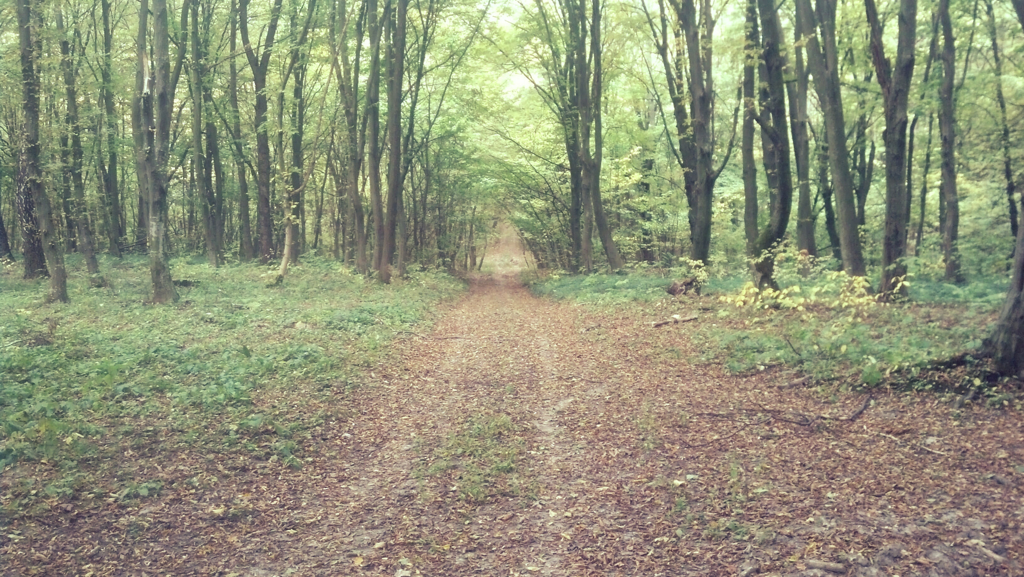 Motorola DROID RAZR sample photo. Travel photography