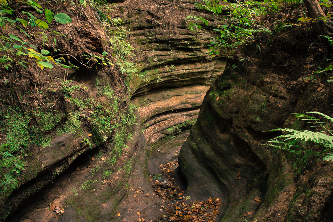 Sigma 18-250mm F3.5-6.3 DC OS HSM sample photo. Pontiac canyon in starved rock state park photography