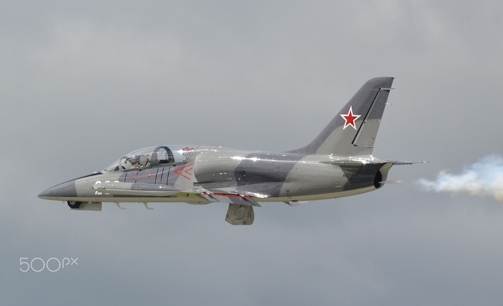 Nikon Nikkor AF-S 300mm F4E PF ED VR sample photo. L-39 albatros photography