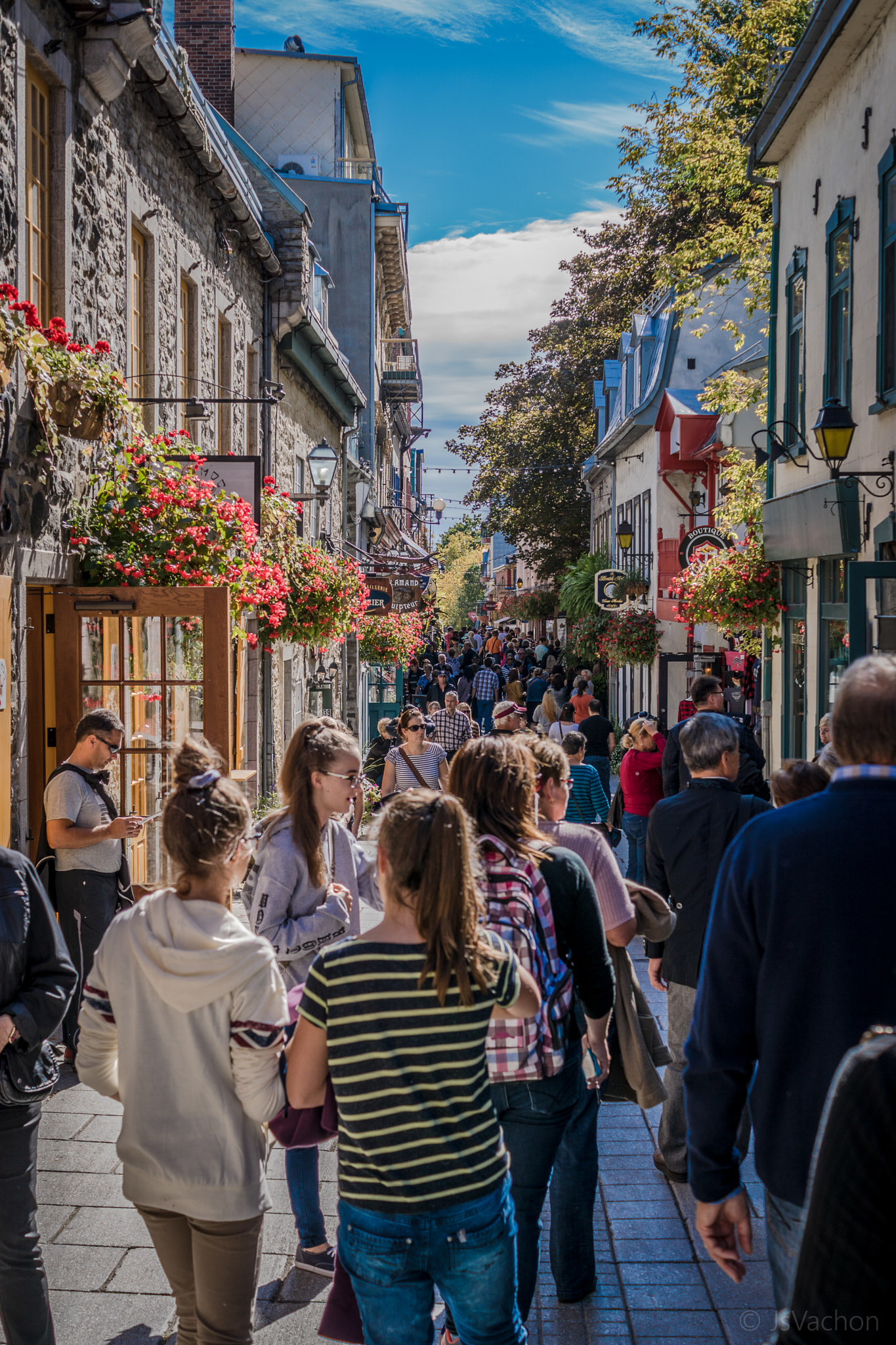 Sony ILCA-77M2 + Sony DT 35mm F1.8 SAM sample photo. Vieuxquebec photography