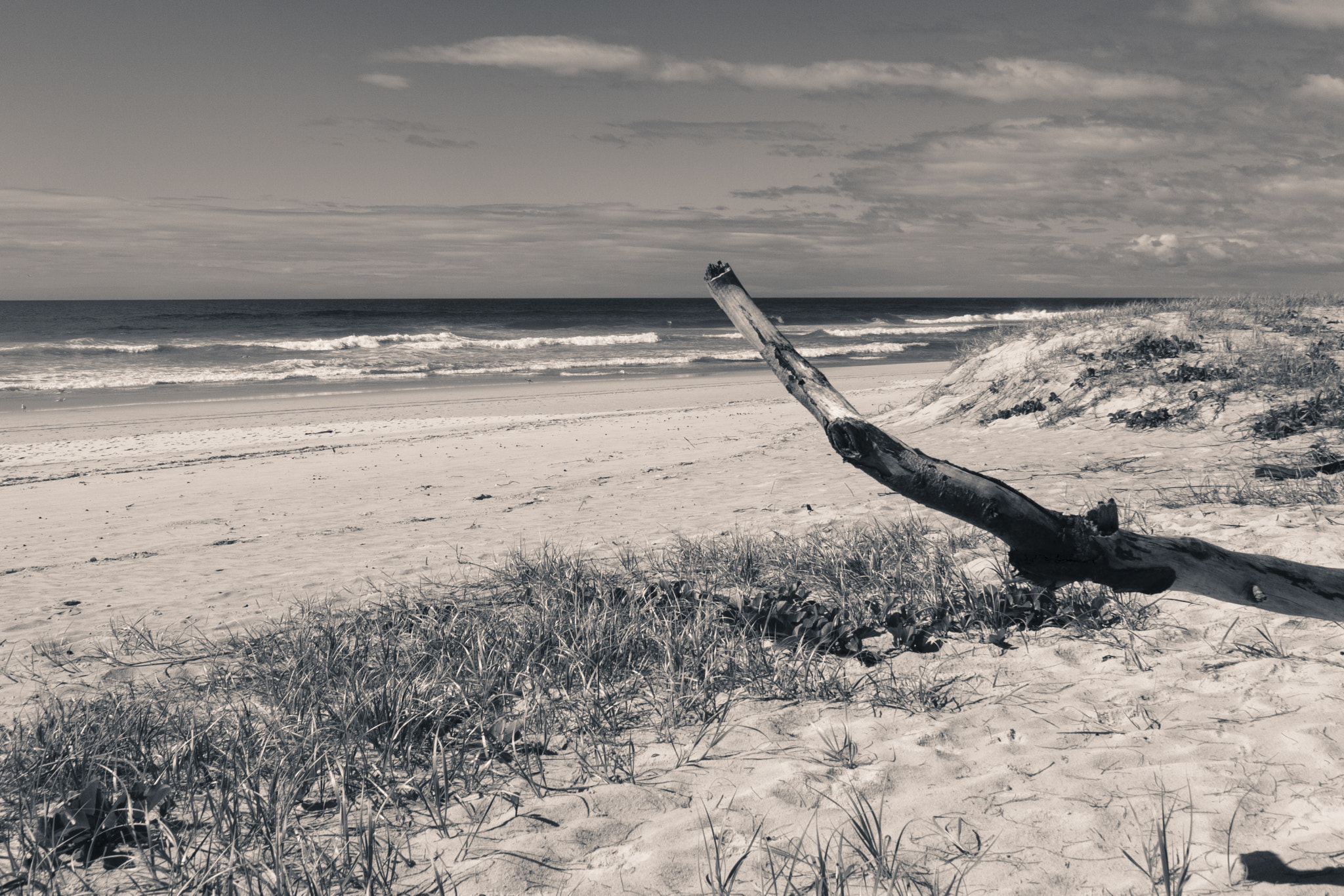 Canon EF-S 18-55mm F3.5-5.6 II sample photo. Salt beach branch photography