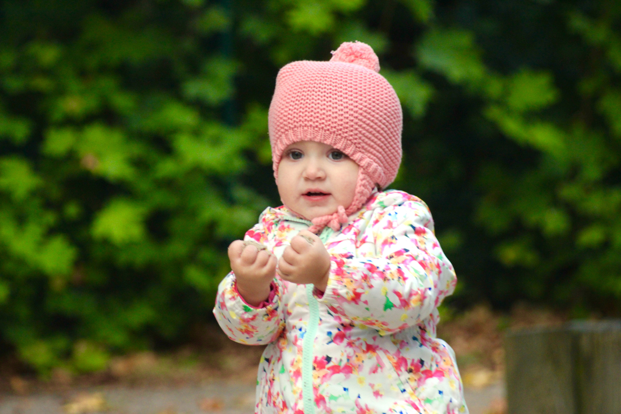 Canon EF 80-200mm F4.5-5.6 II sample photo