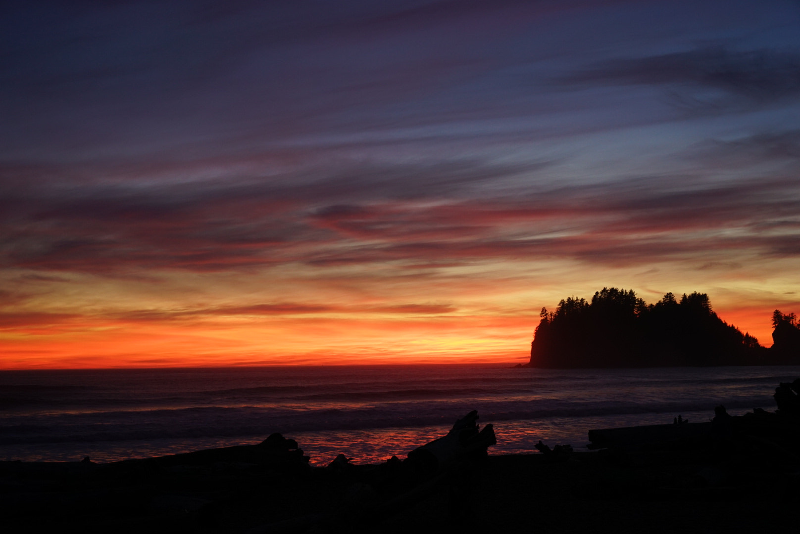 Sony FE 24-70mm F2.8 GM sample photo. Washington state photography