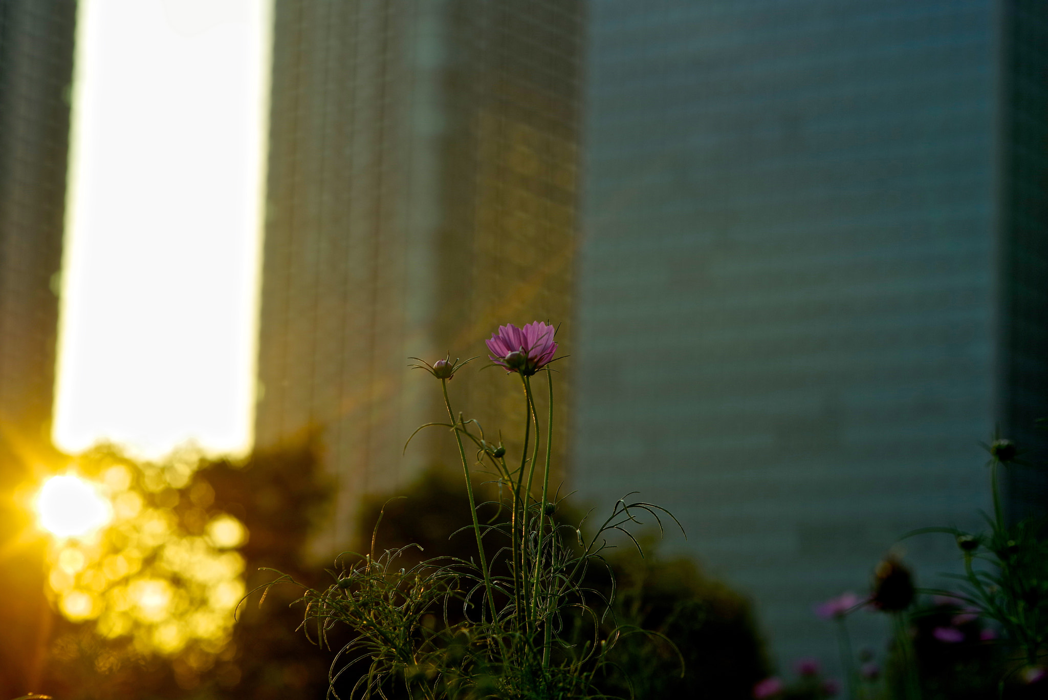 Pentax K-1 sample photo. Urban cosmos photography