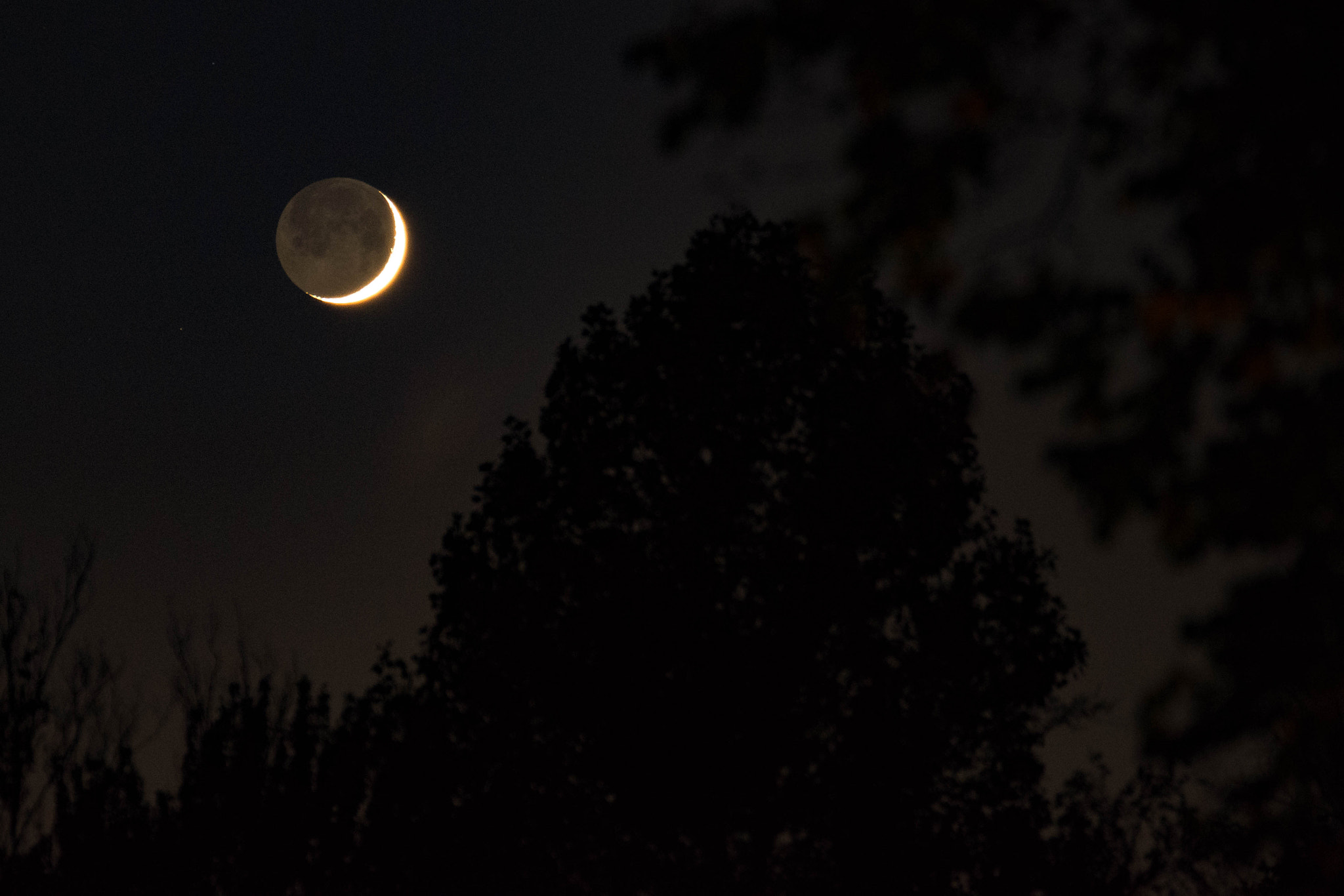 Sigma 18-200mm F3.5-6.3 DC OS HSM sample photo. Waxing on. photography