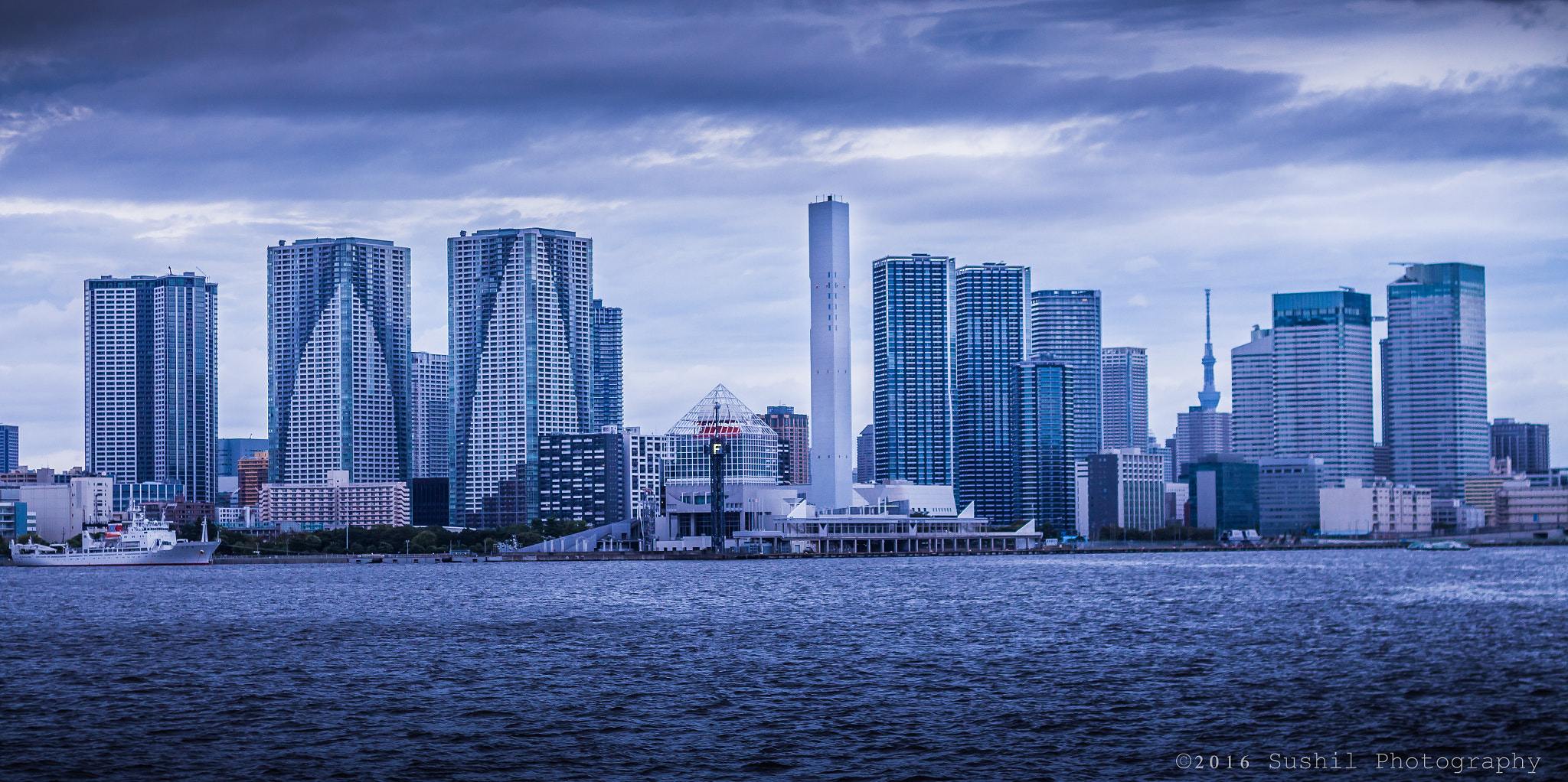 Canon EOS 700D (EOS Rebel T5i / EOS Kiss X7i) sample photo. Odaiba cruise photography