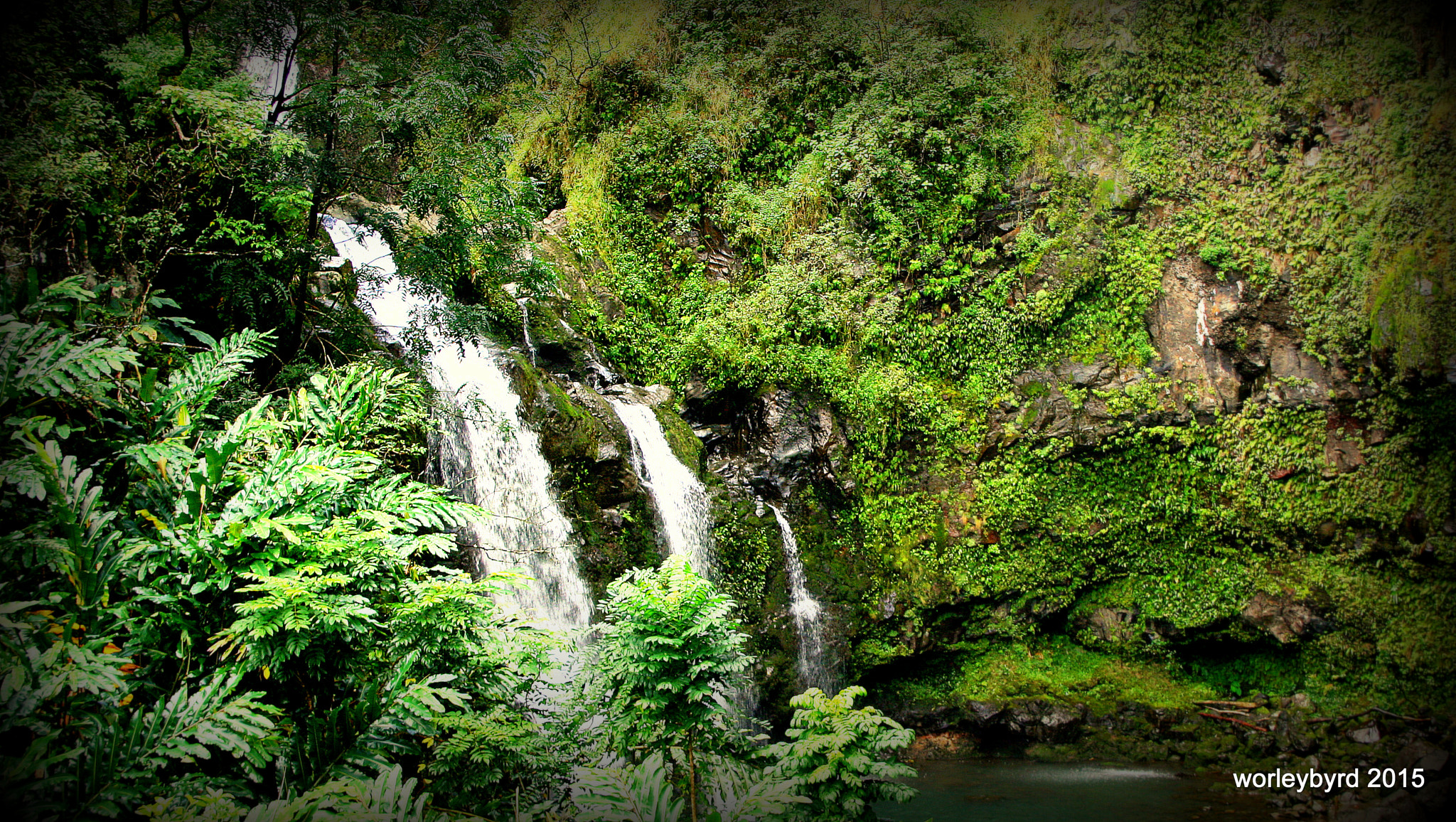 Canon EOS 400D (EOS Digital Rebel XTi / EOS Kiss Digital X) sample photo. Road to hana waterfall photography