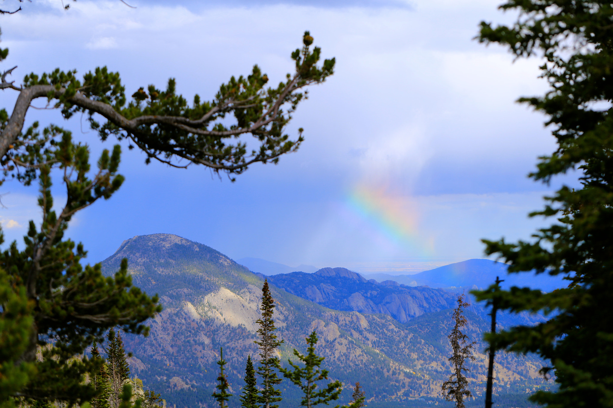Canon EOS 6D + Canon EF 100mm F2.8L Macro IS USM sample photo. Rainbow photography