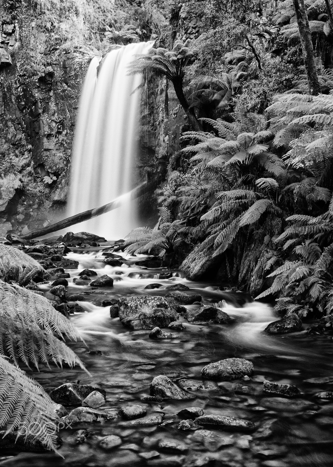 Canon EOS 7D + Tamron SP AF 17-50mm F2.8 XR Di II VC LD Aspherical (IF) sample photo. Hopetoun falls in black and white photography
