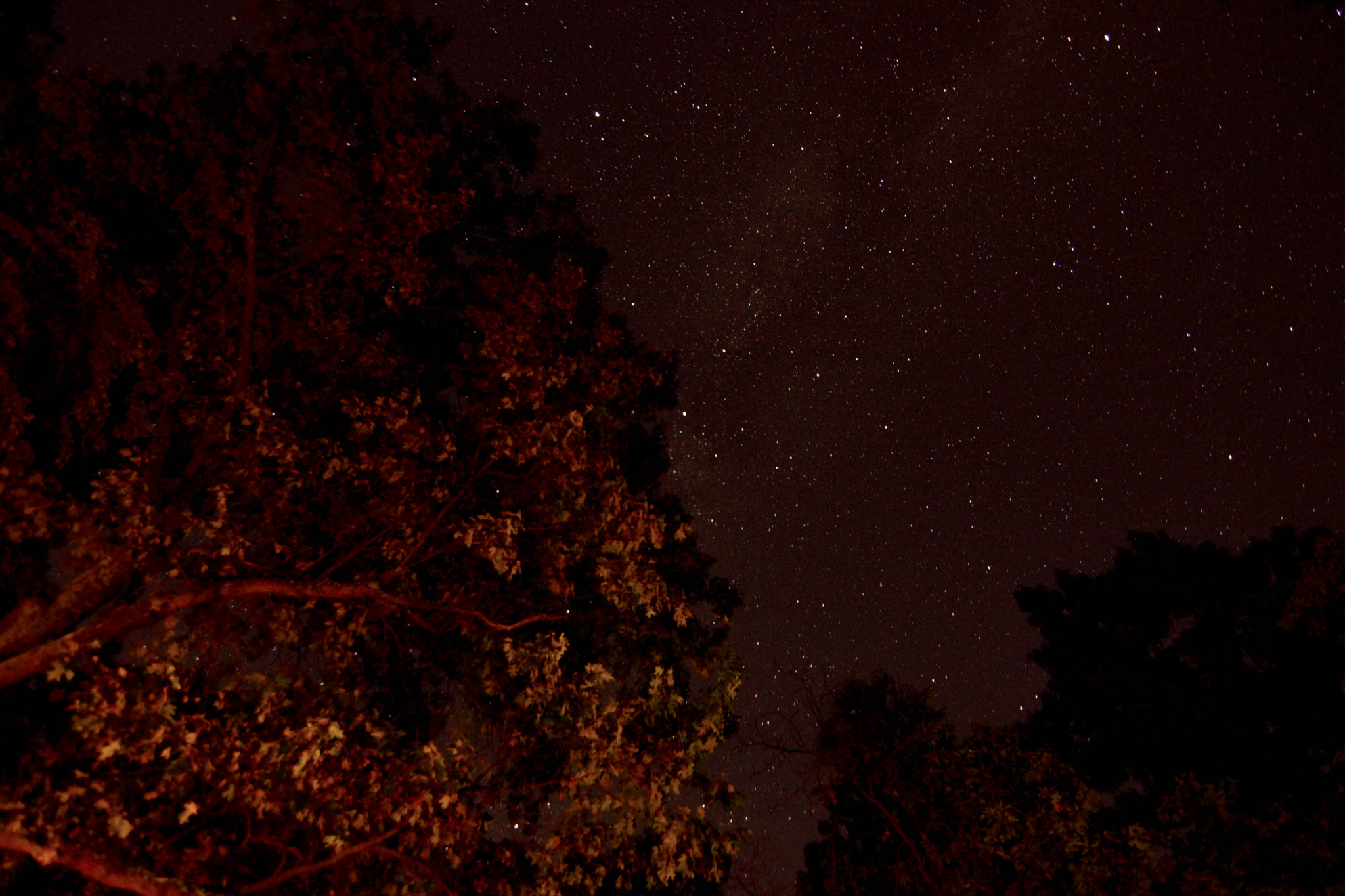 Sony SLT-A65 (SLT-A65V) + 20mm F2.8 sample photo. Astrophotography photography